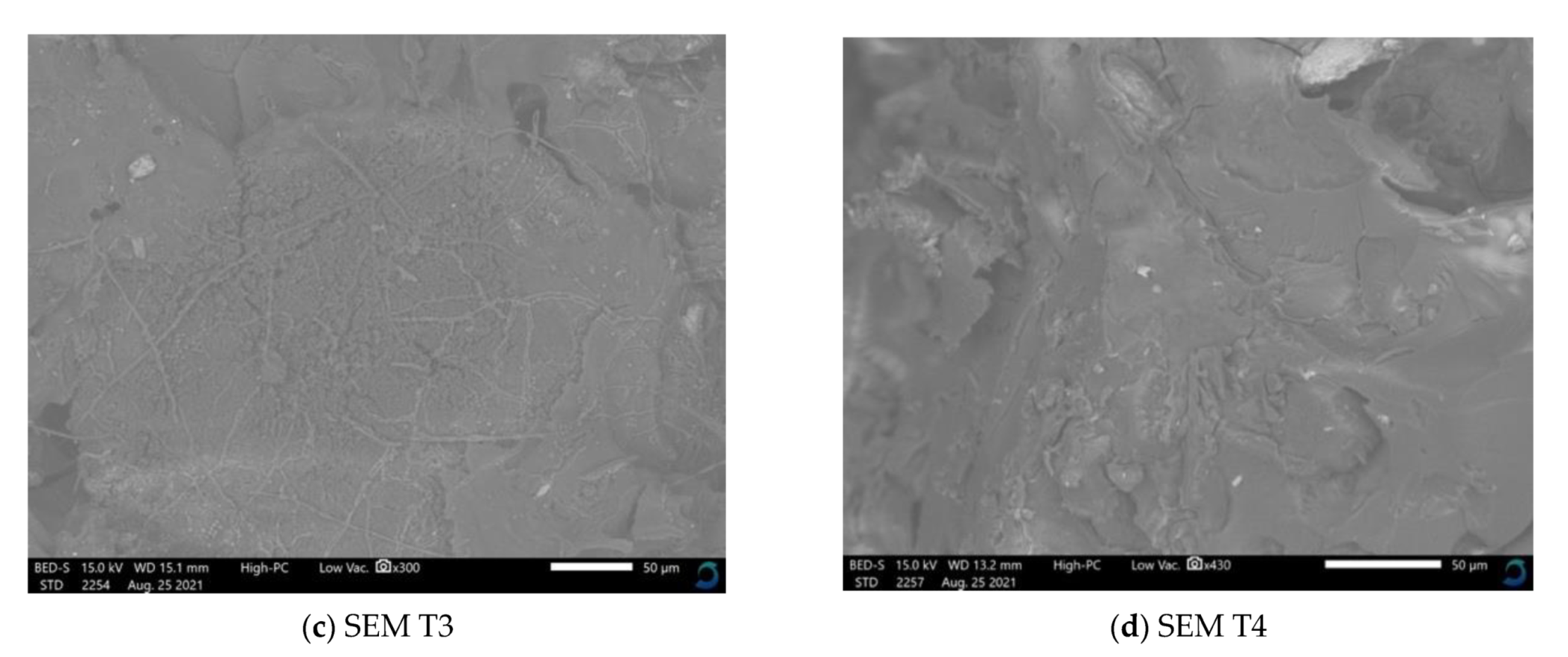 Applsci 11 11138 g007b