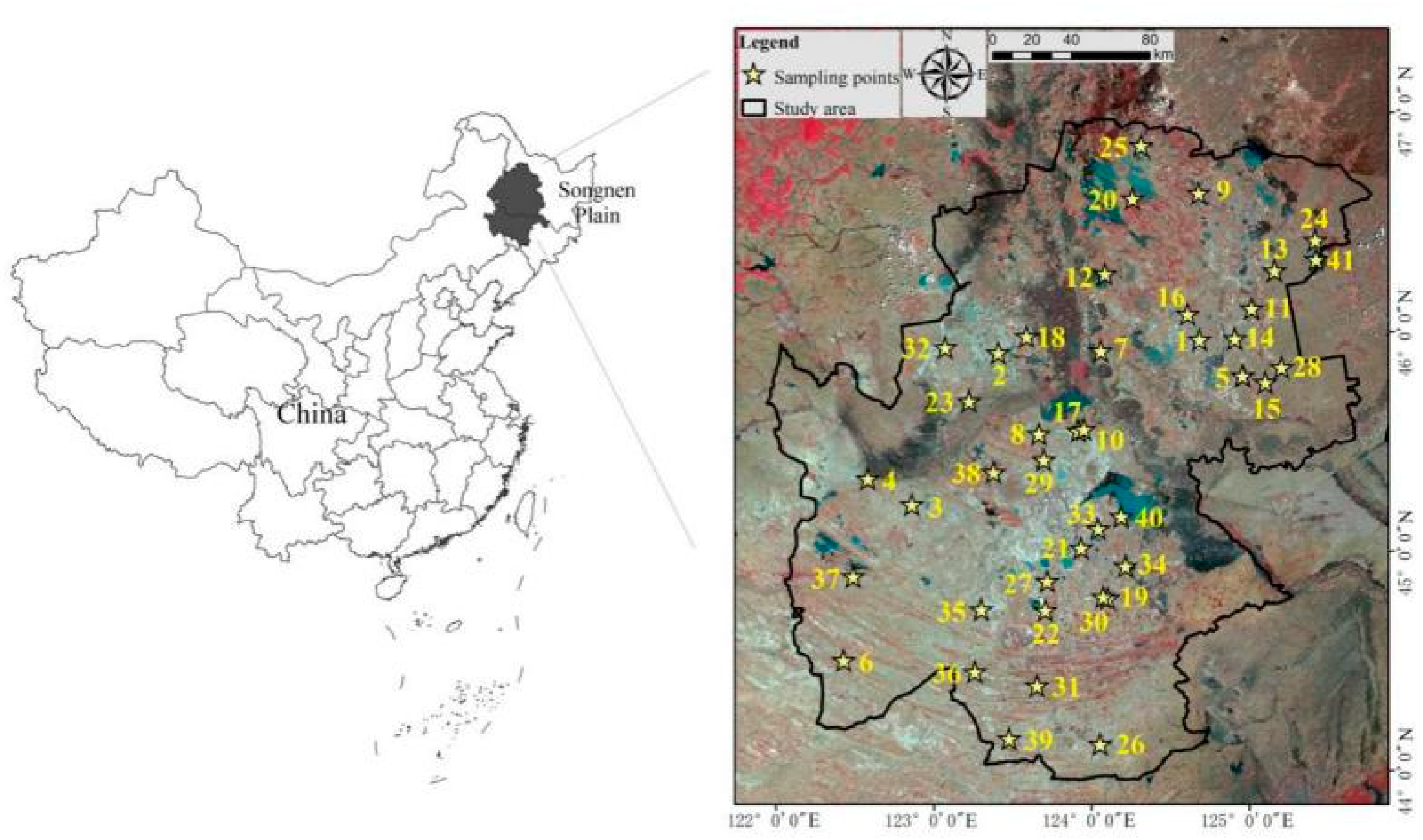 Applsci 11 11145 g001