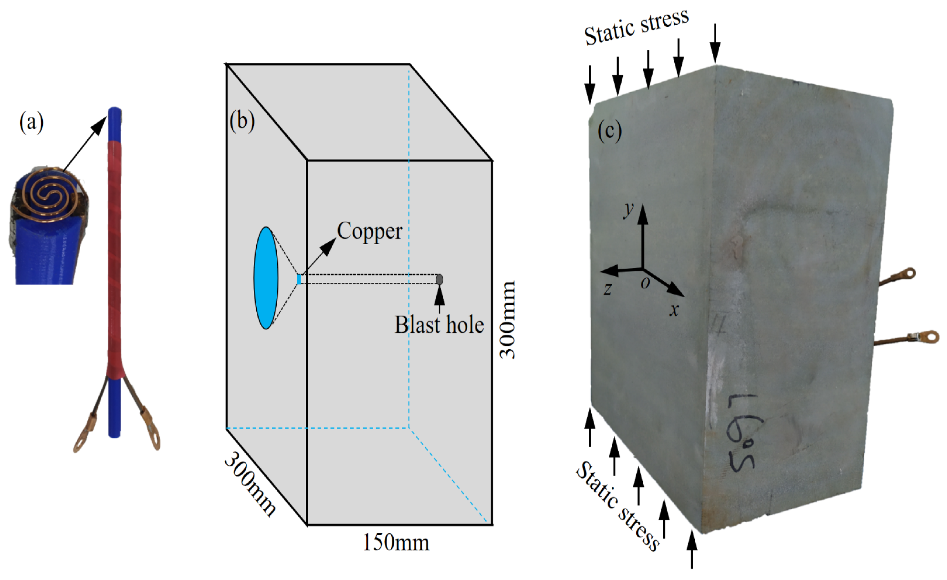 Applsci 11 11169 g002