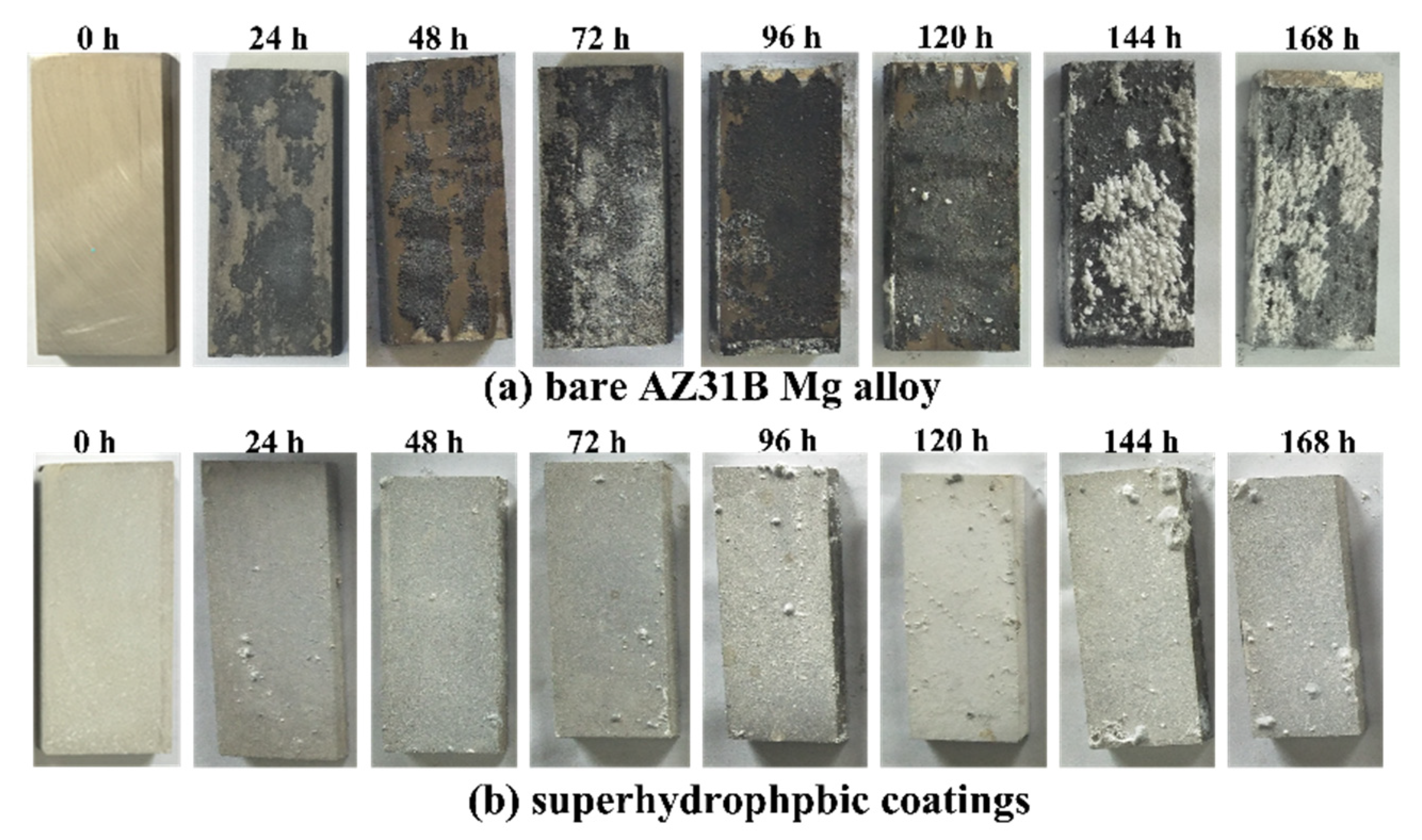 Applsci 11 11172 g011