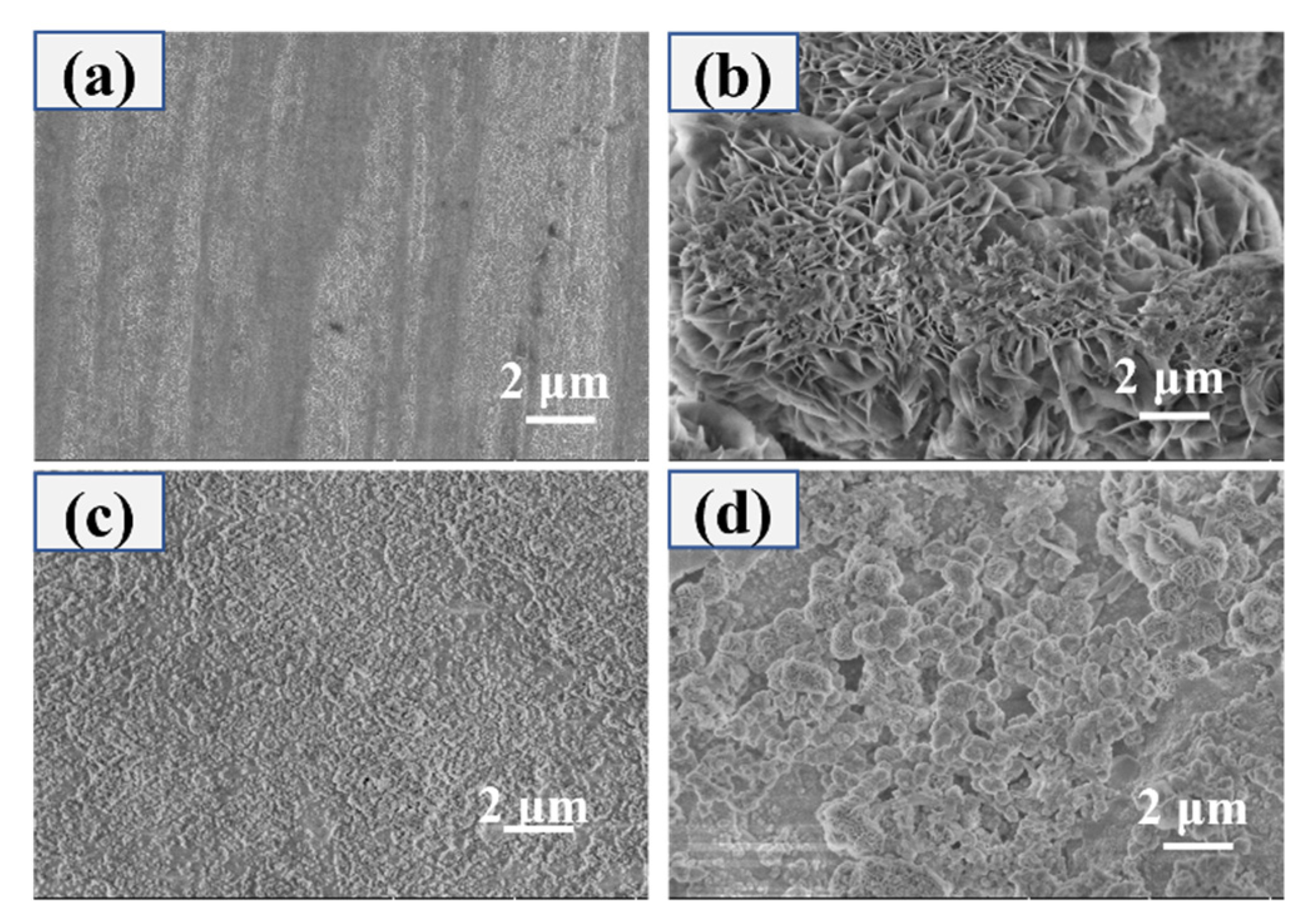 Applsci 11 11172 g012