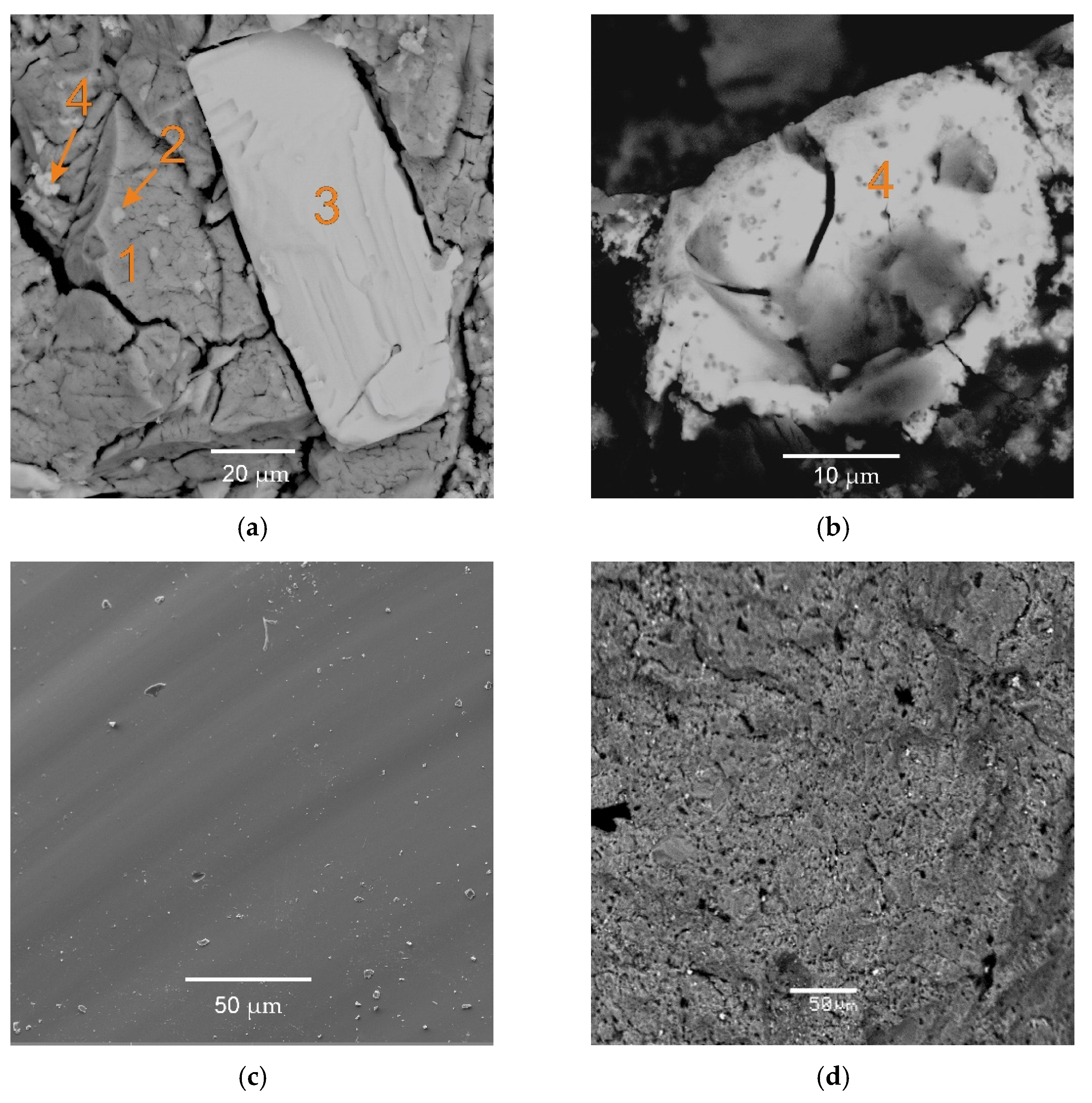 Applsci 11 11180 g002