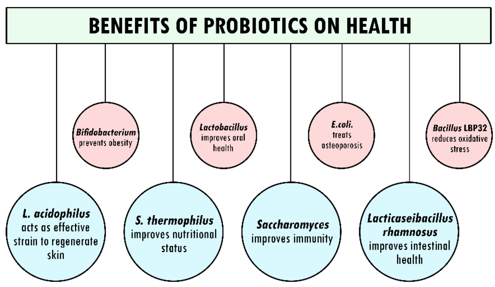 Nutritional benefits of probiotics