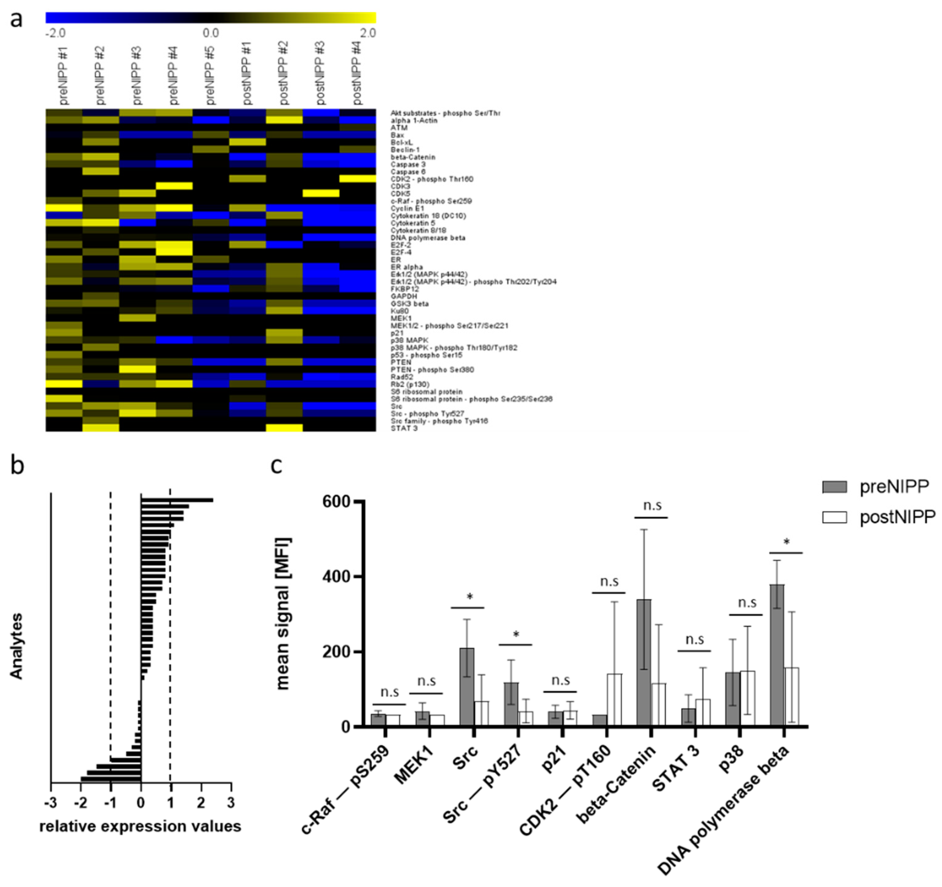 Applsci 11 11238 g004