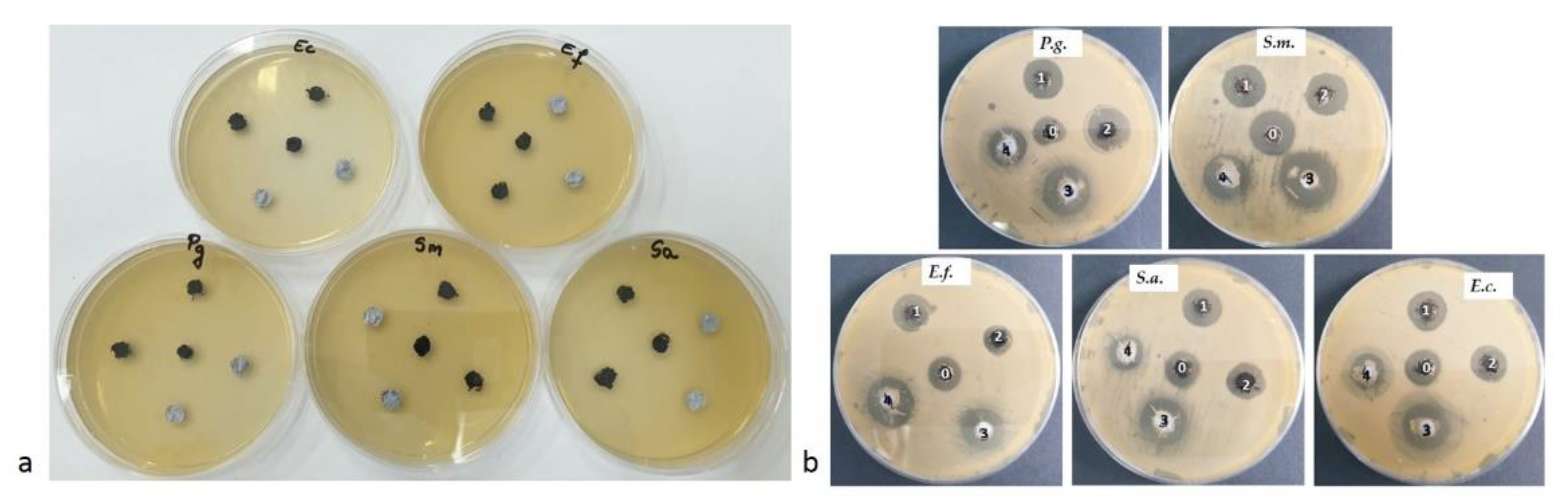Applsci 11 11330 g008