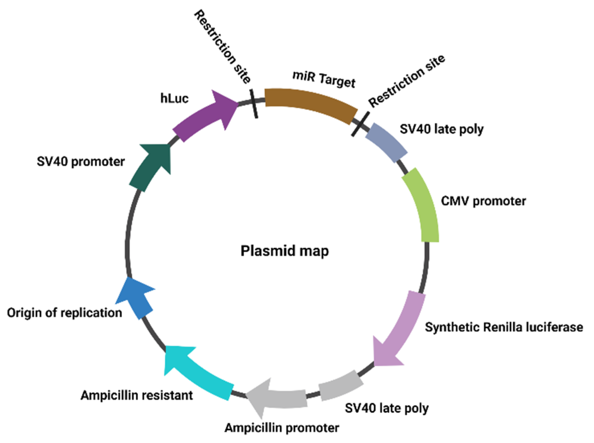 Applsci 11 11366 g002