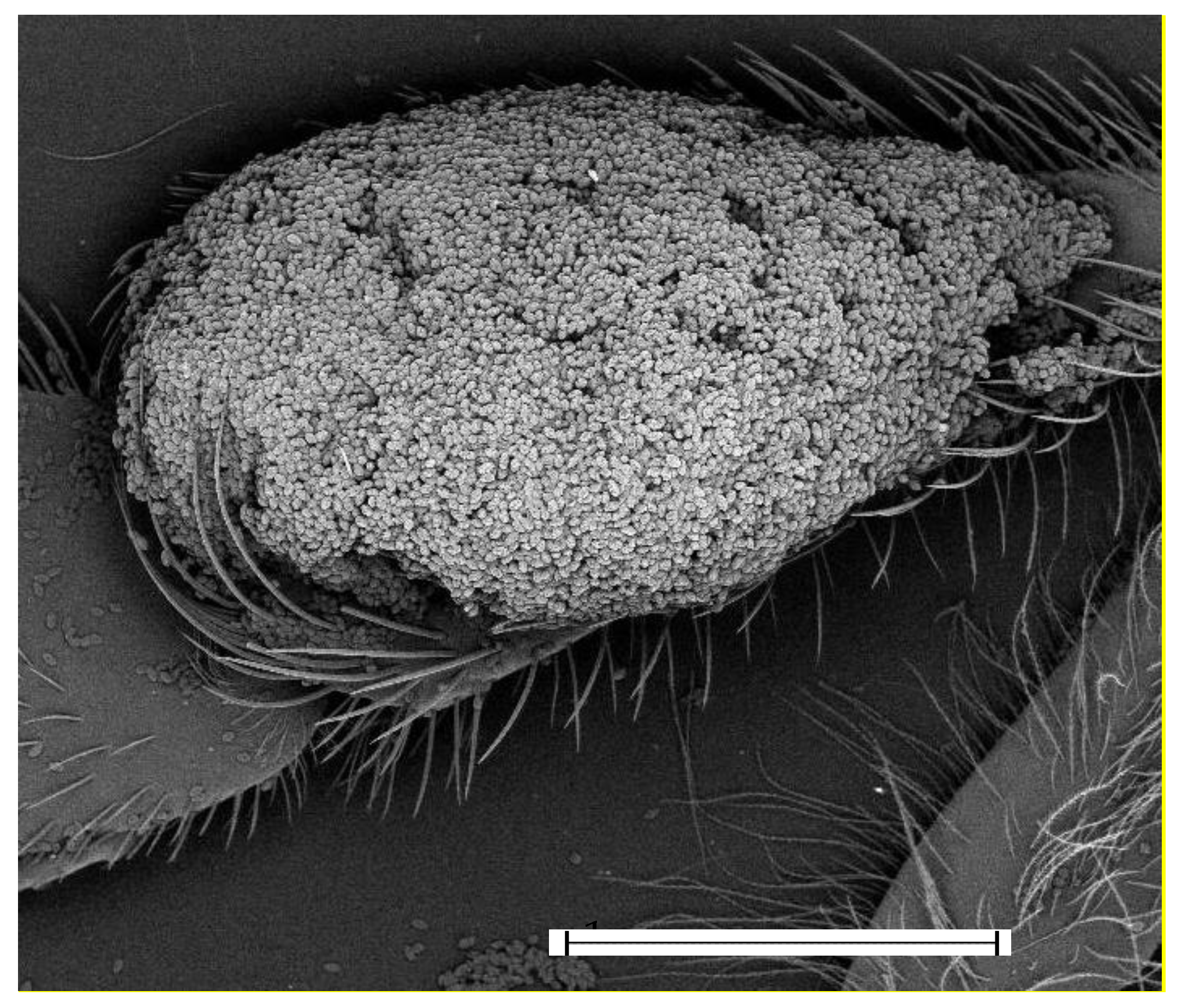 Applsci 11 11390 g002