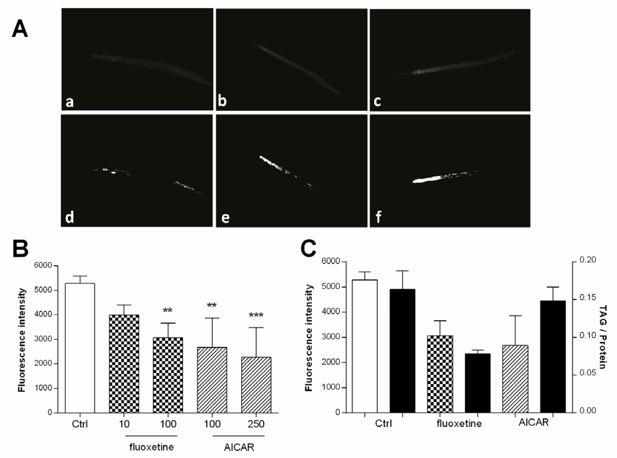 Applsci 11 11420 g007