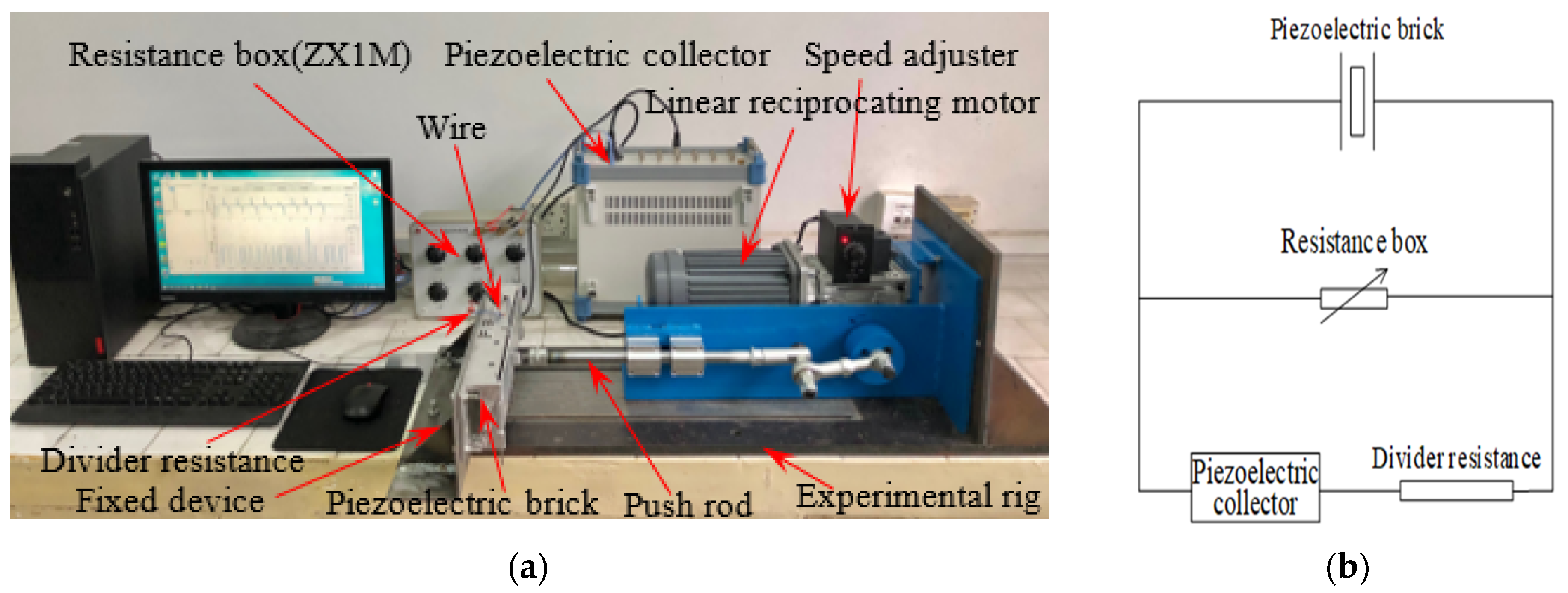 Applsci 11 11504 g005