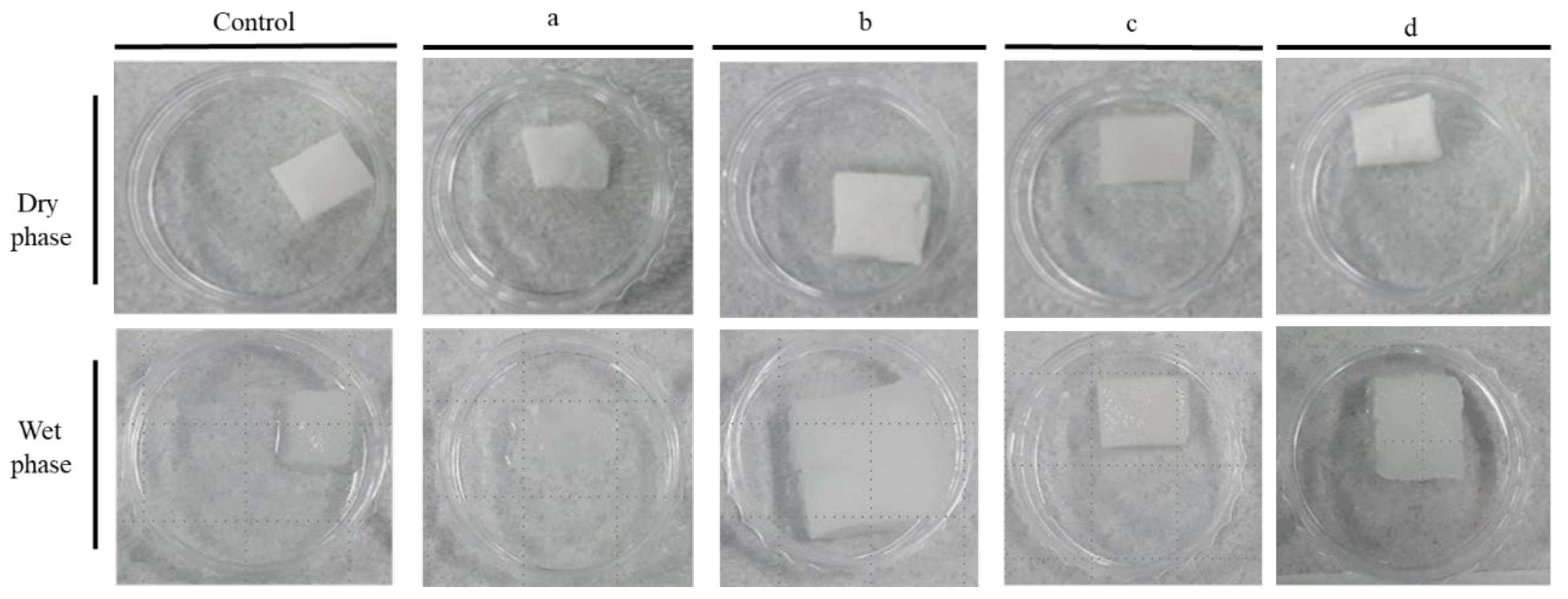 Applsci 11 11573 g006