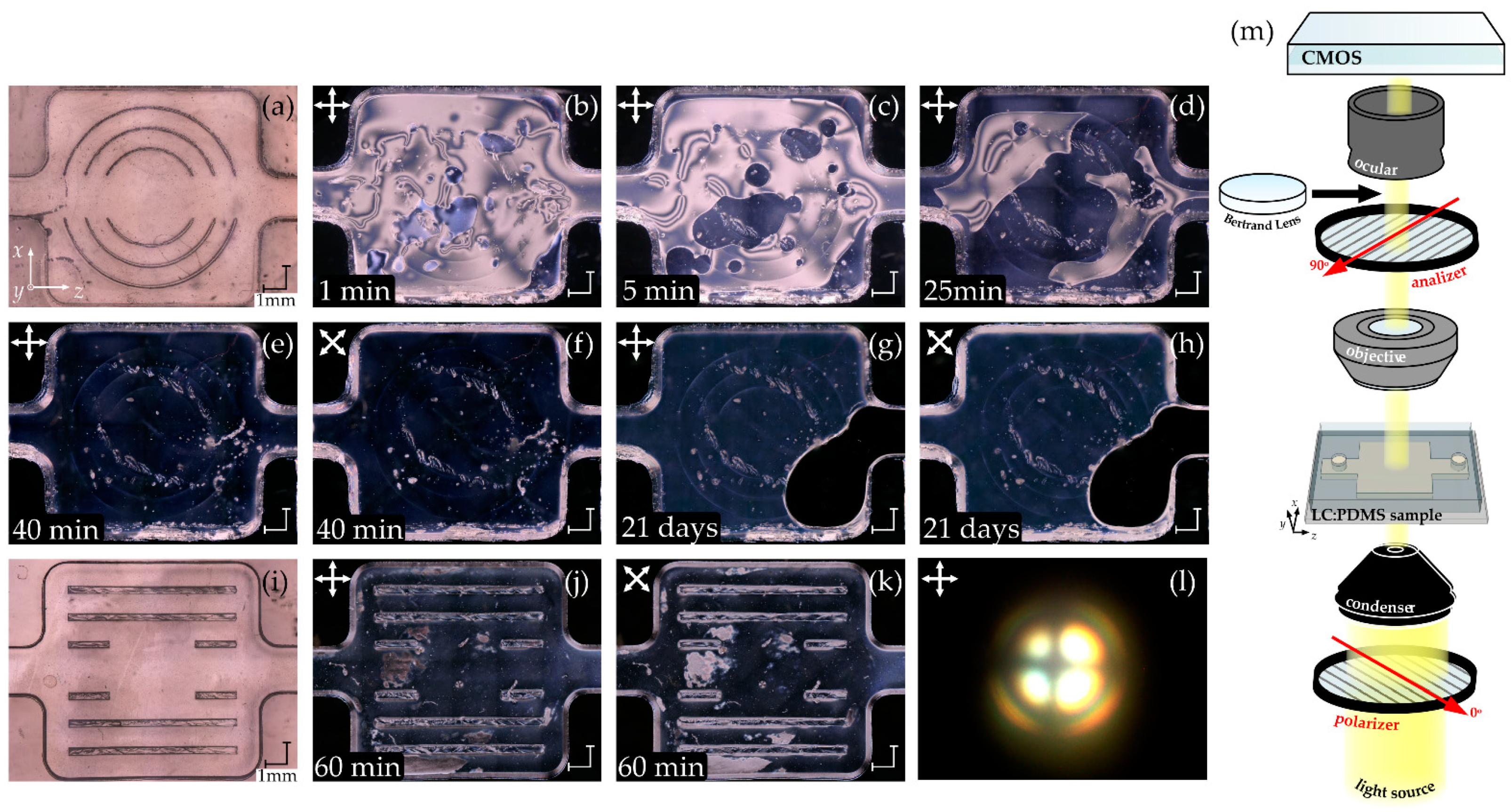 Applsci 11 11593 g002 Applsci 11 11593 g002