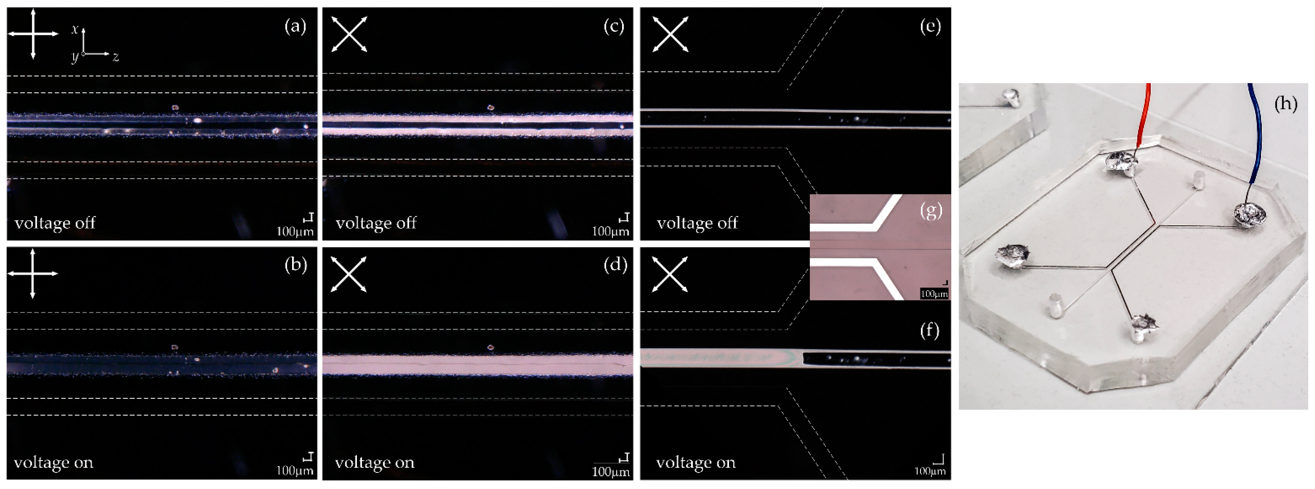 Applsci 11 11593 g007 Applsci 11 11593 g007