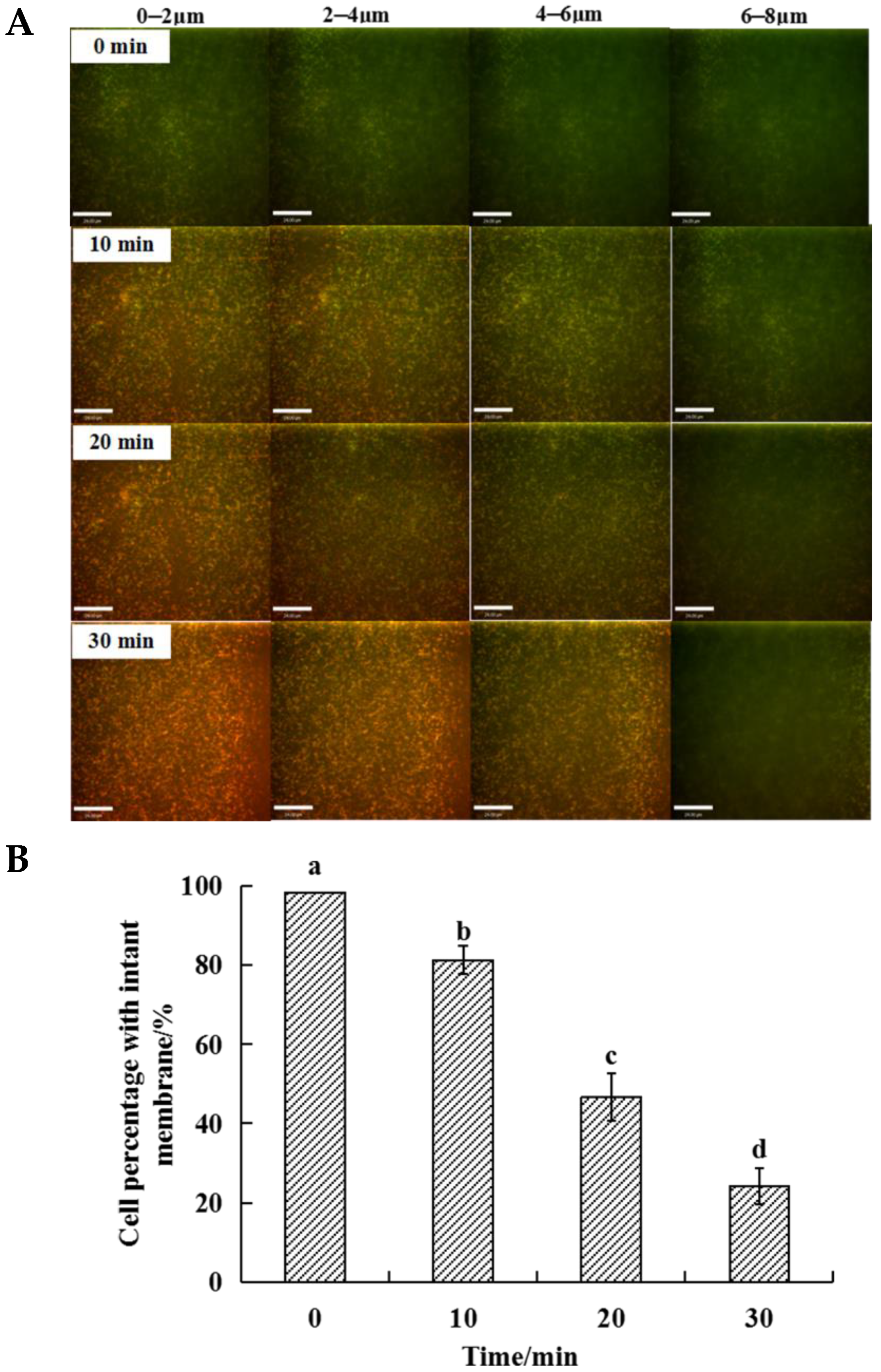 Applsci 11 11597 g004