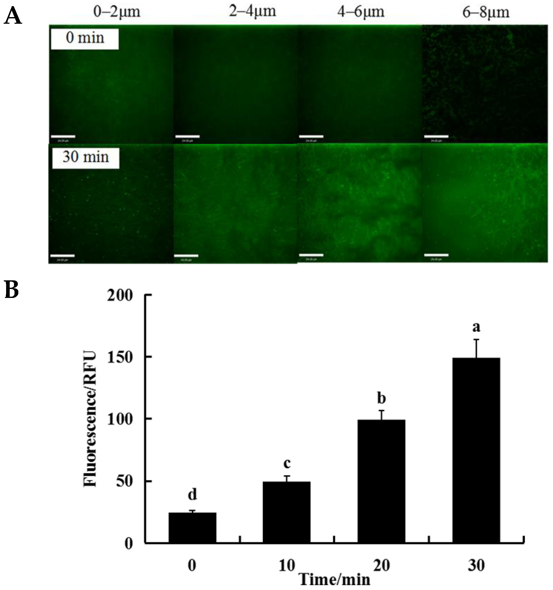 Applsci 11 11597 g006