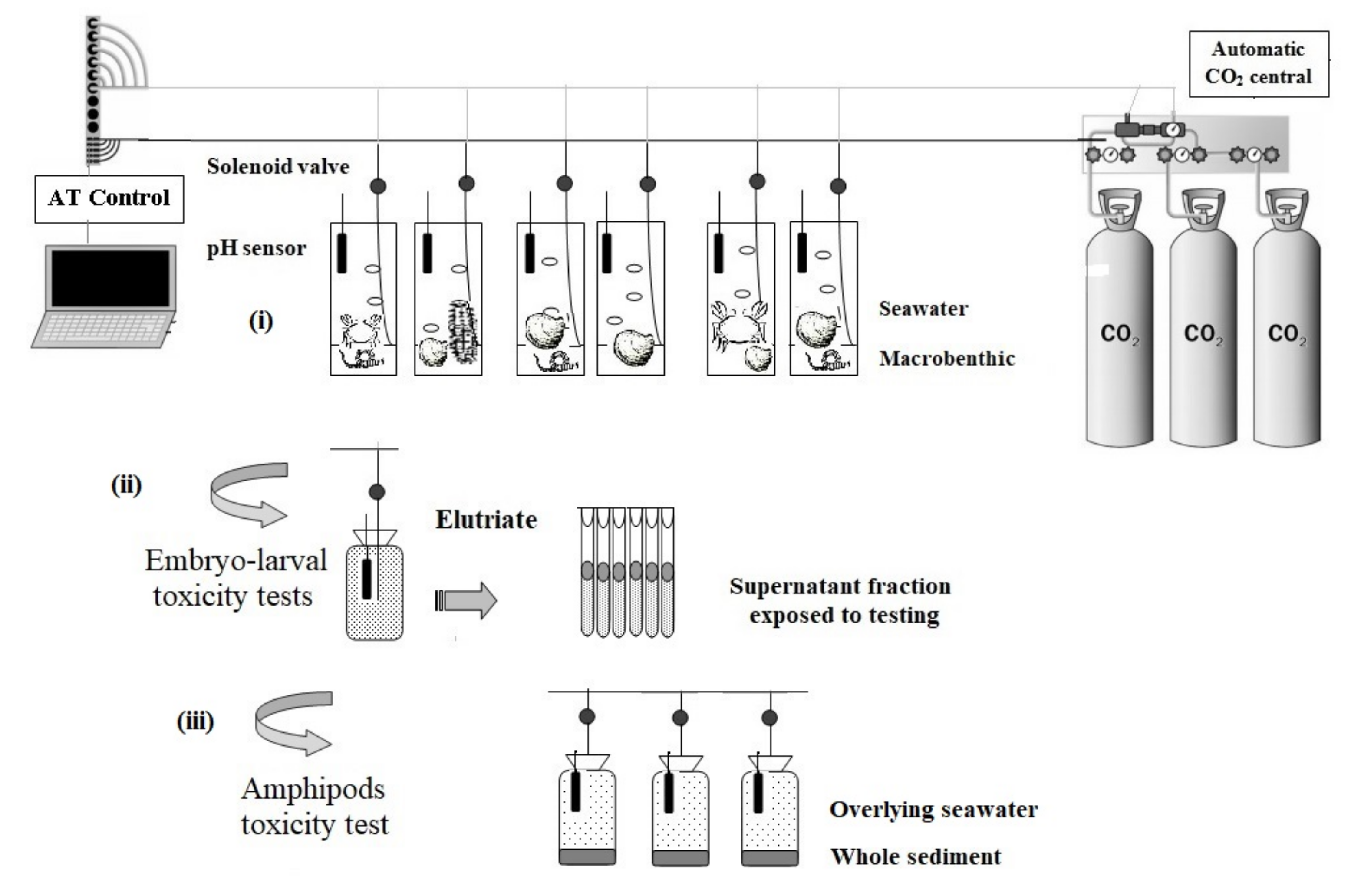 Applsci 11 11603 g002