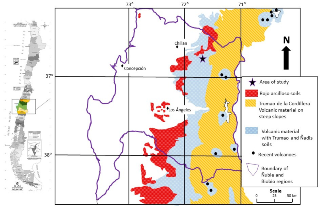 Applsci 11 11708 g001