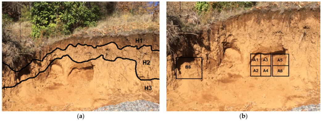 Applsci 11 11708 g002