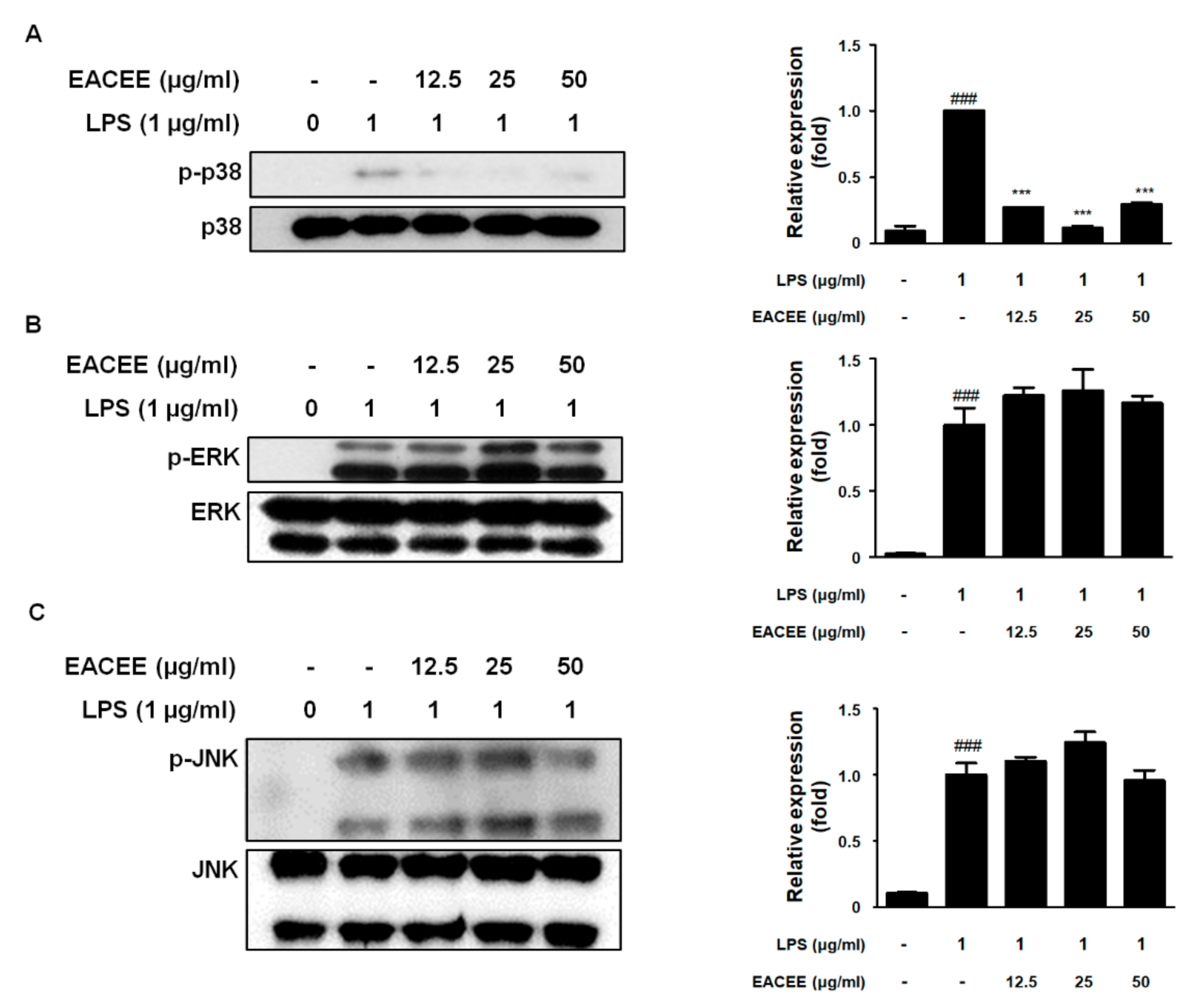 Applsci 11 11715 g005