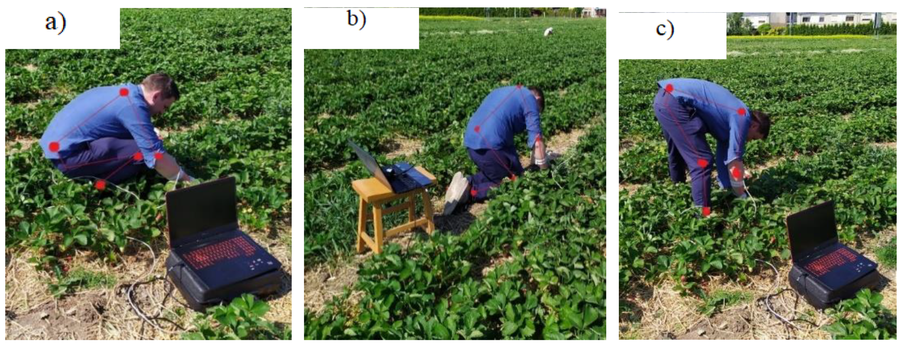 Applied Sciences | Free Full-Text | Evaluation of Picker Discomfort and Its  Impact on Maintaining Strawberry Picking Quality