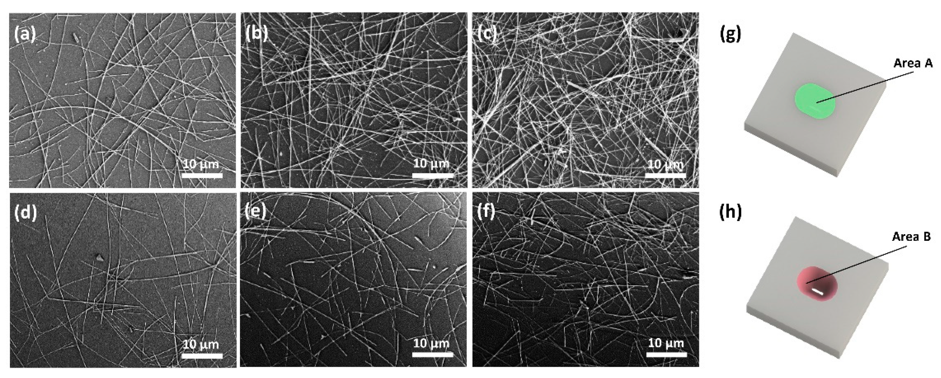 Applsci 11 11855 g003