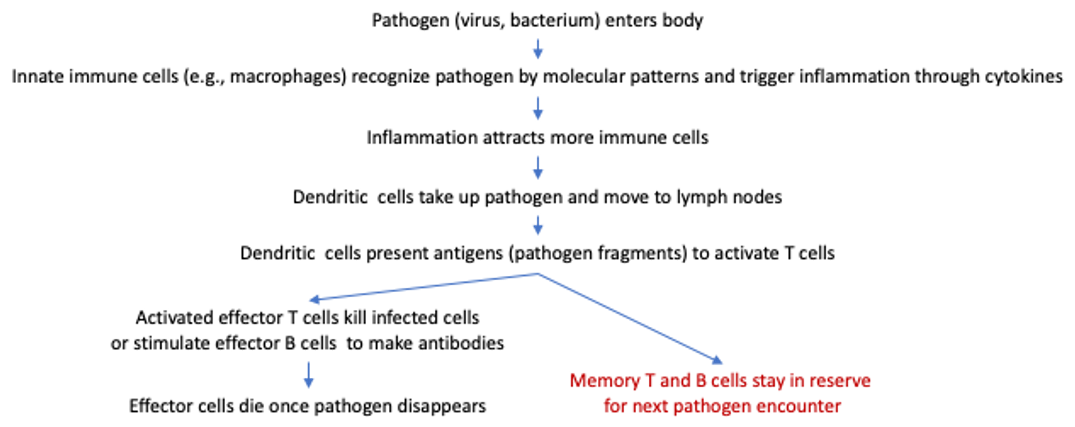 Applsci 11 11898 g001 Applsci 11 11898 g001