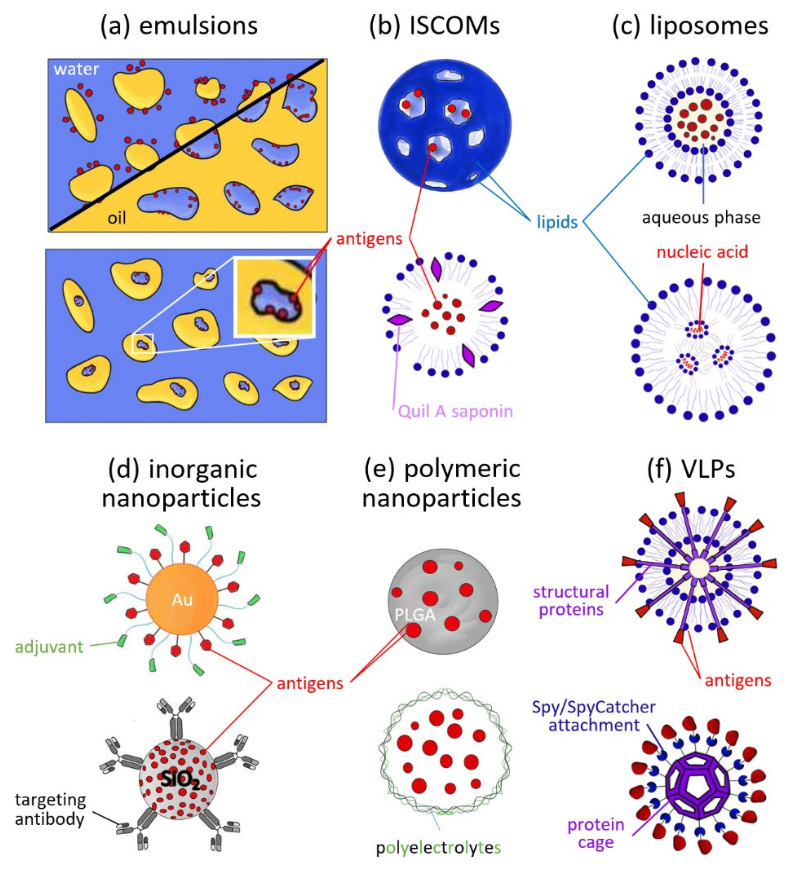 Applsci 11 11898 g002 Applsci 11 11898 g002