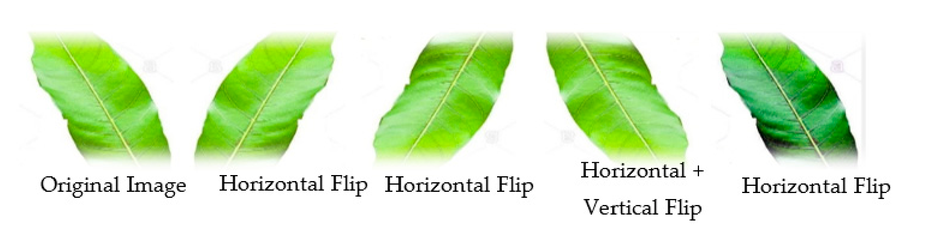 Applsci 11 11901 g002