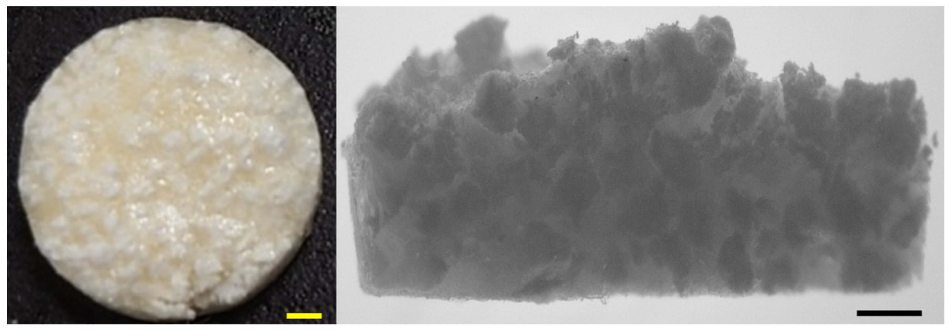 Applsci 11 11941 g002