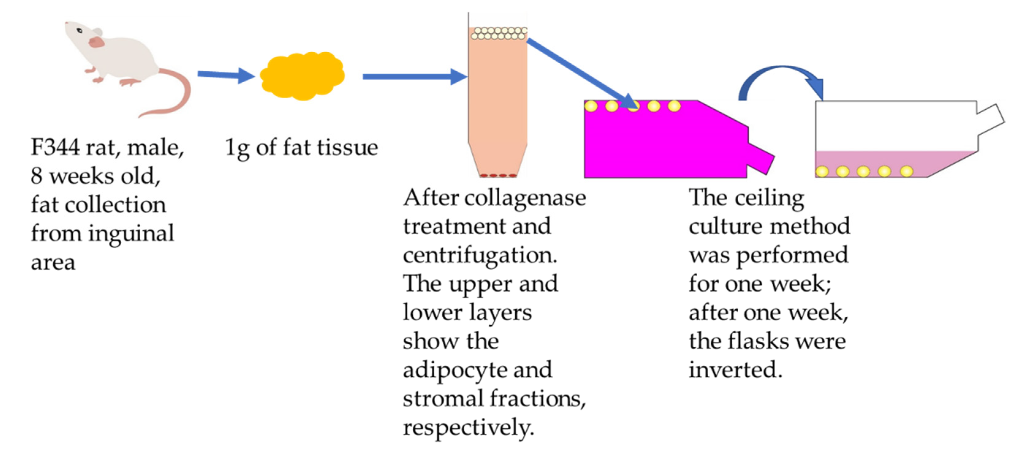 Applsci 11 11941 g003