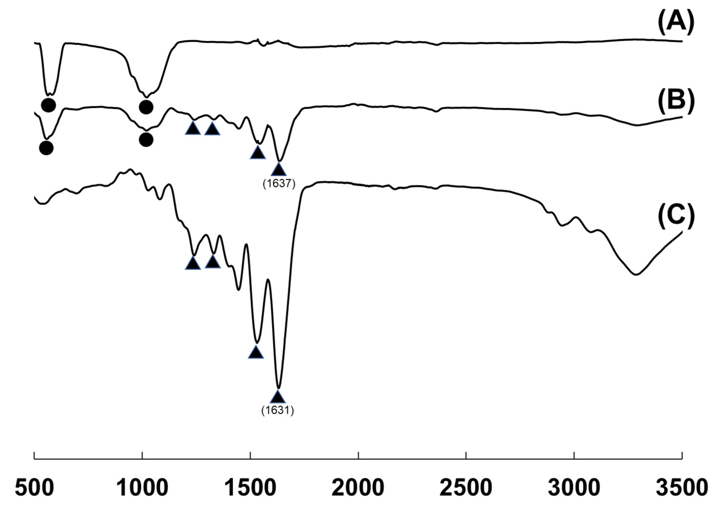 Applsci 11 11941 g006