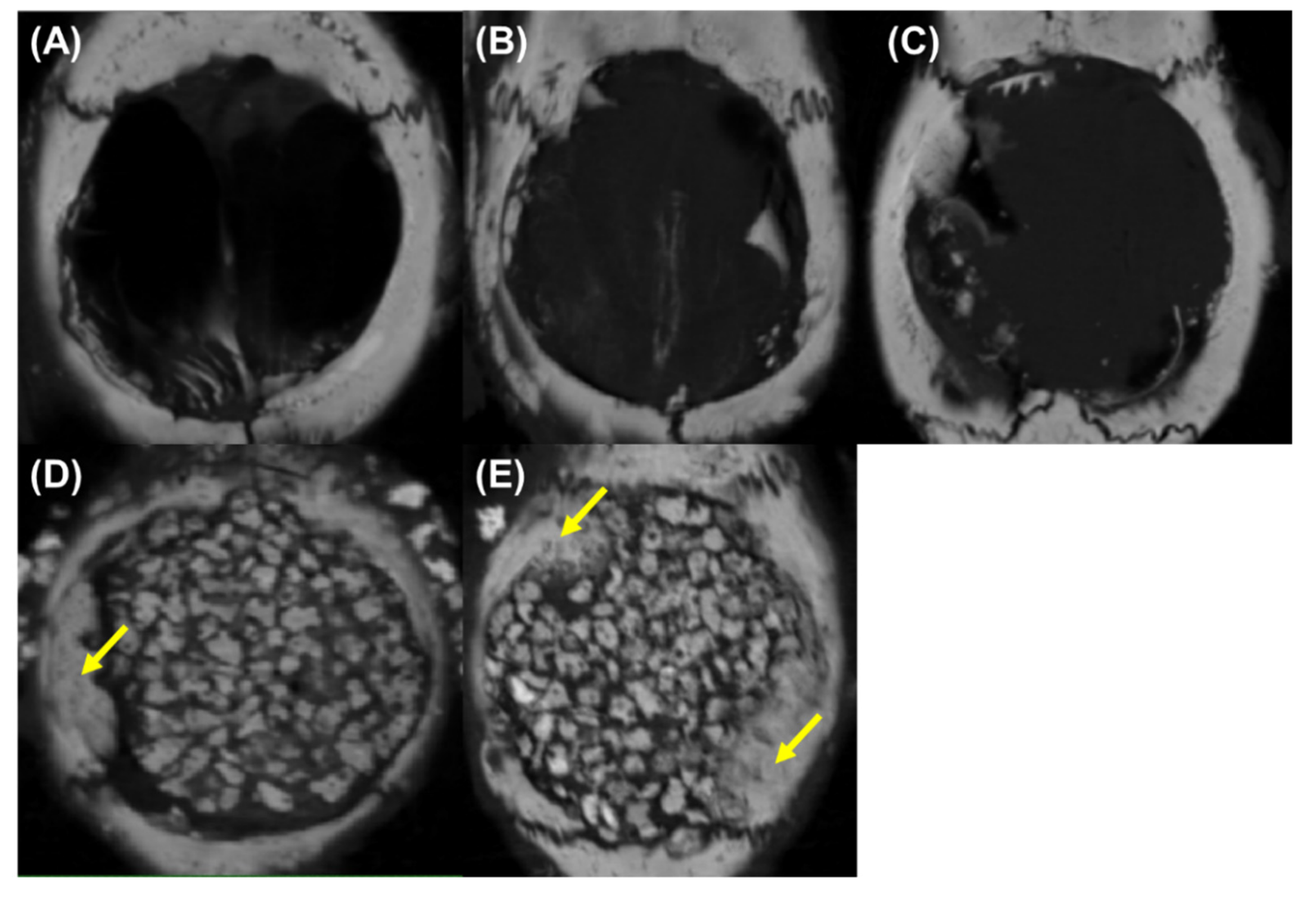Applsci 11 11941 g012