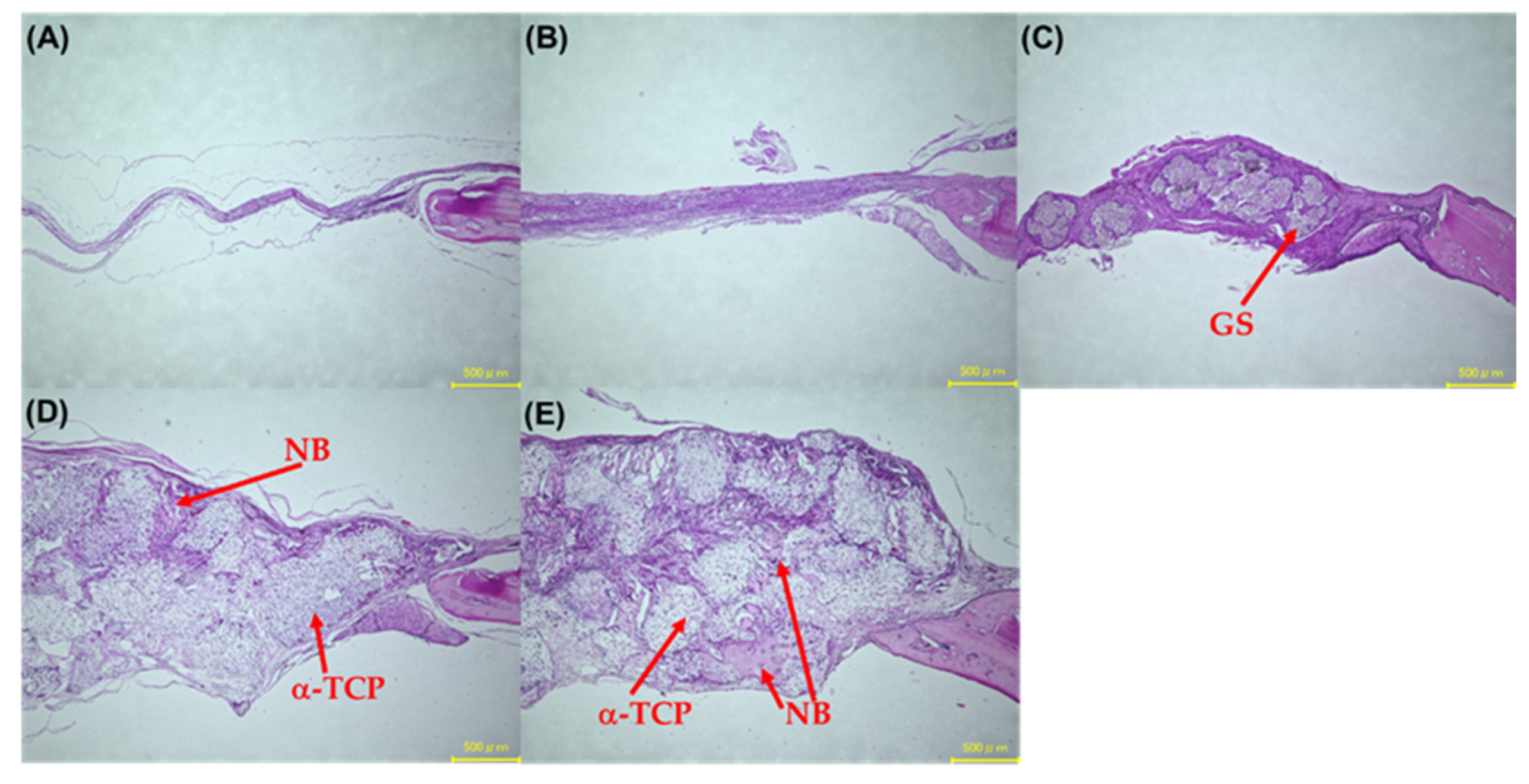 Applsci 11 11941 g015