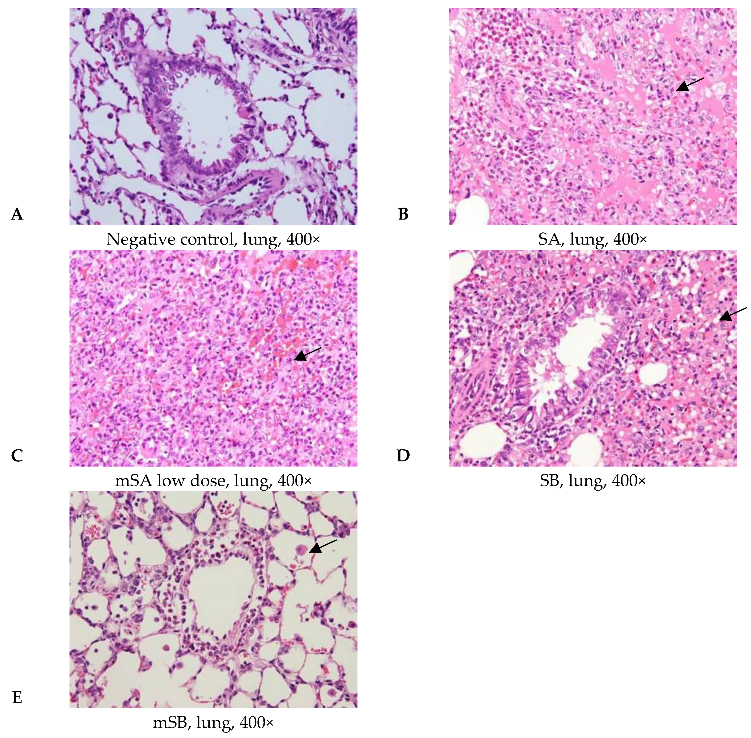 Applsci 11 11990 g003