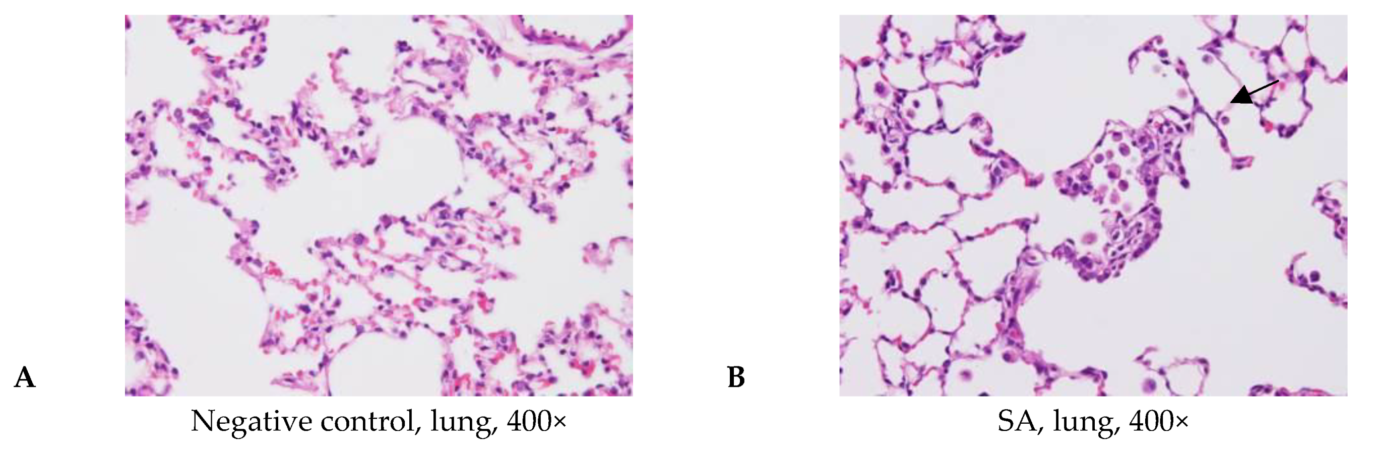 Applsci 11 11990 g006a