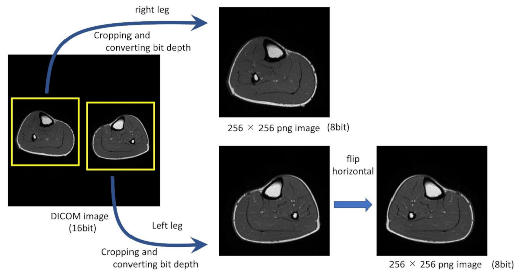 Applsci 11 12006 g001