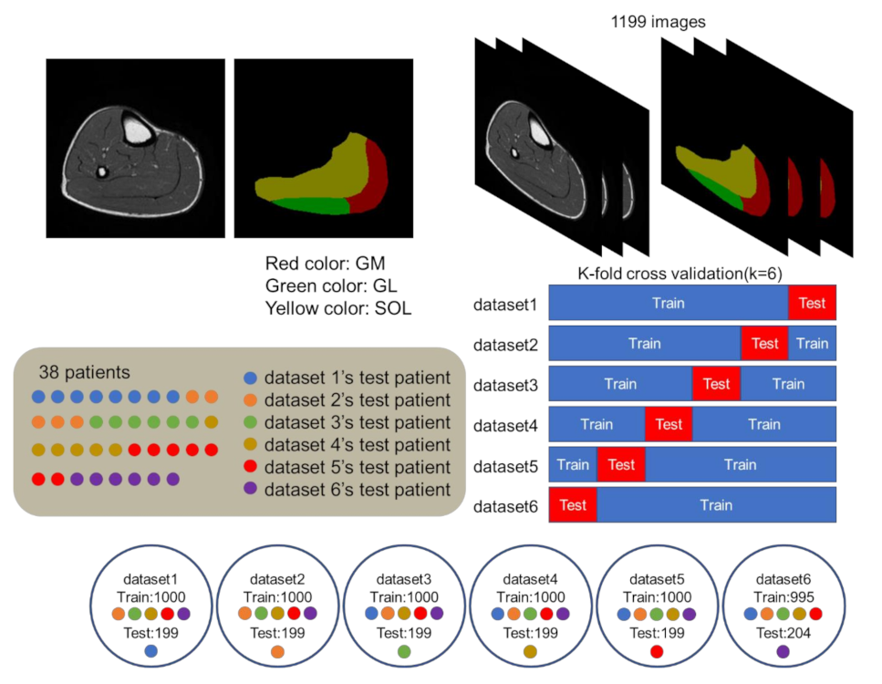 Applsci 11 12006 g002