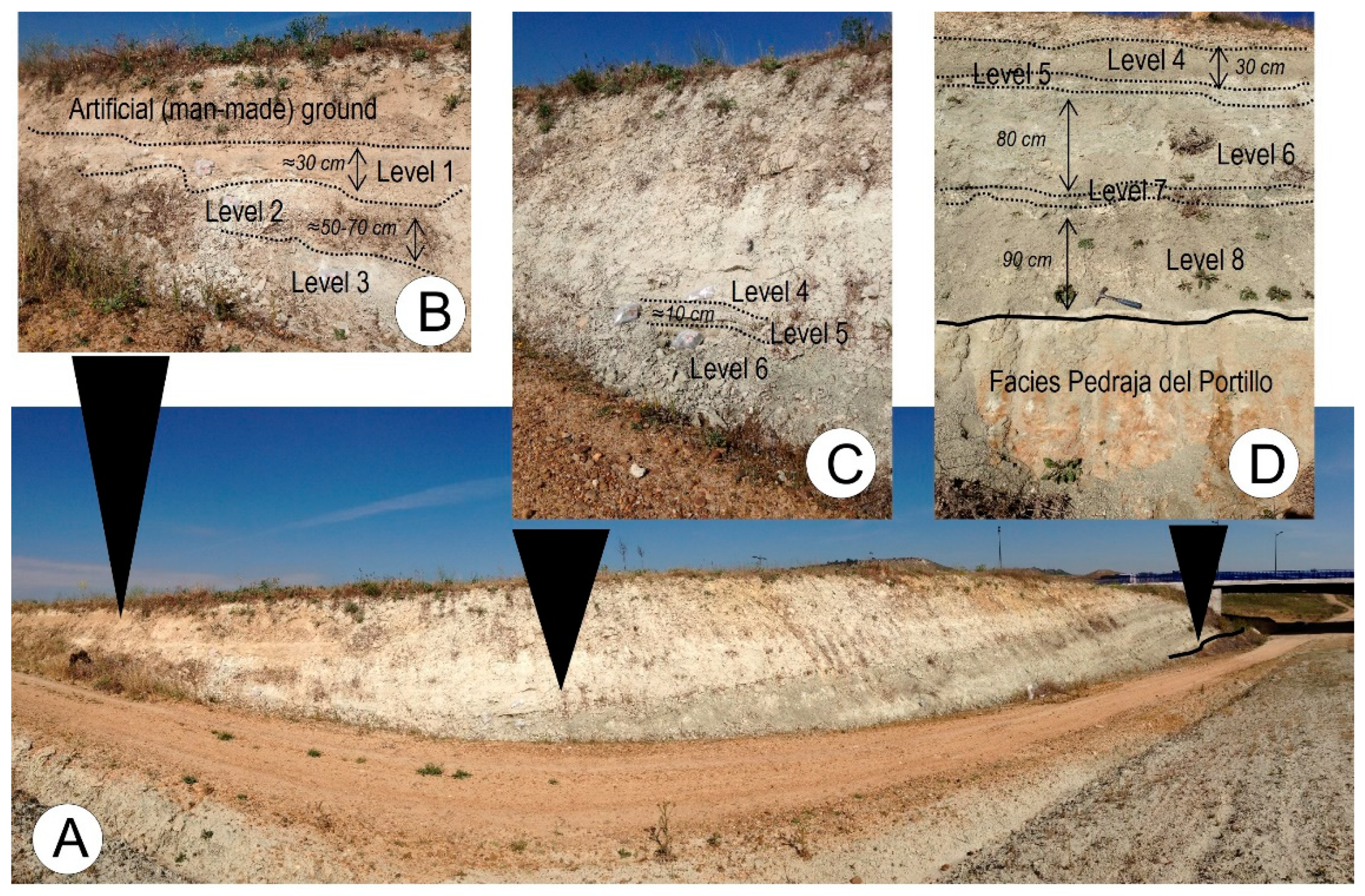 Applsci 11 12021 g002