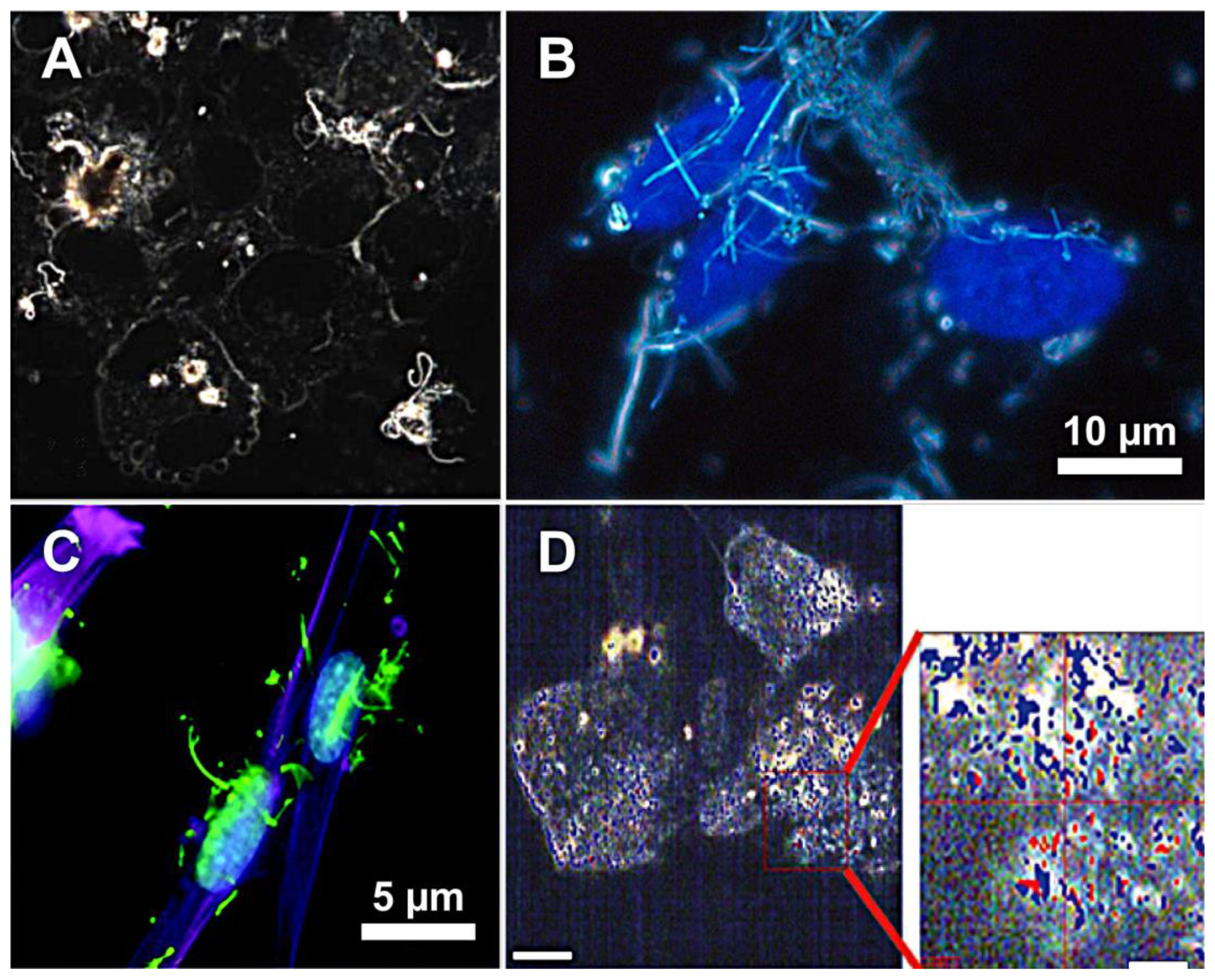 Applsci 11 12132 g003