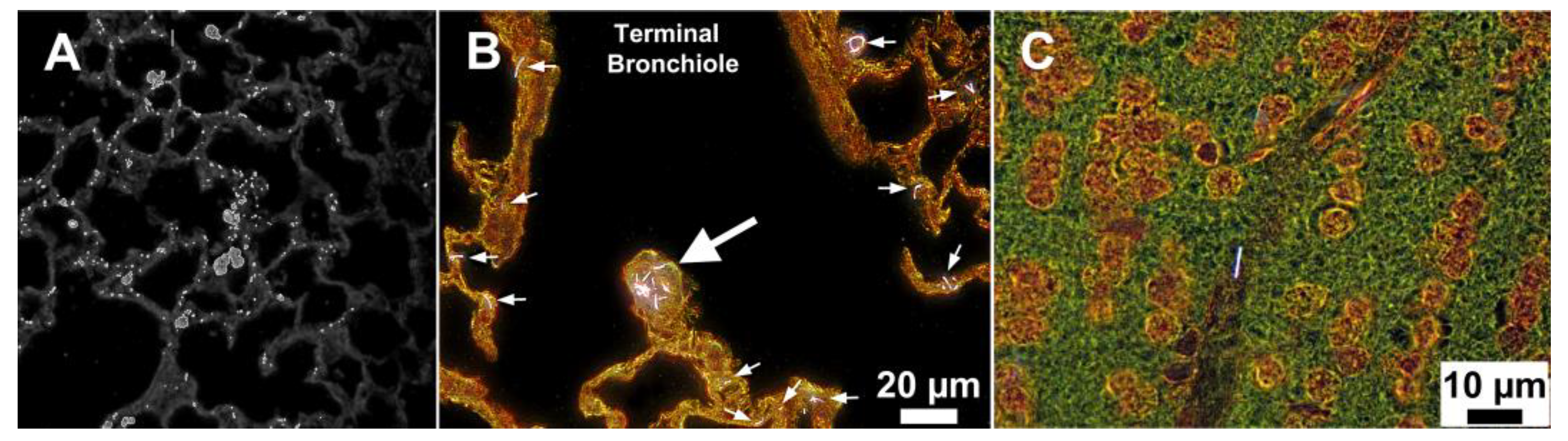 Applsci 11 12132 g004