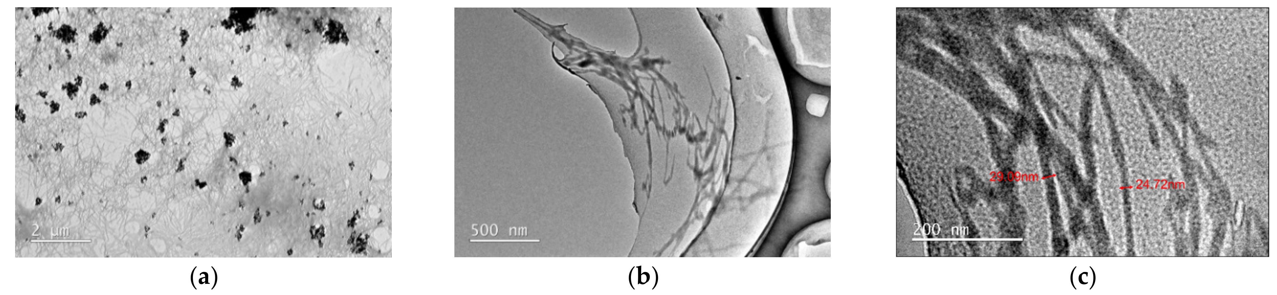 Applsci 11 12163 g001