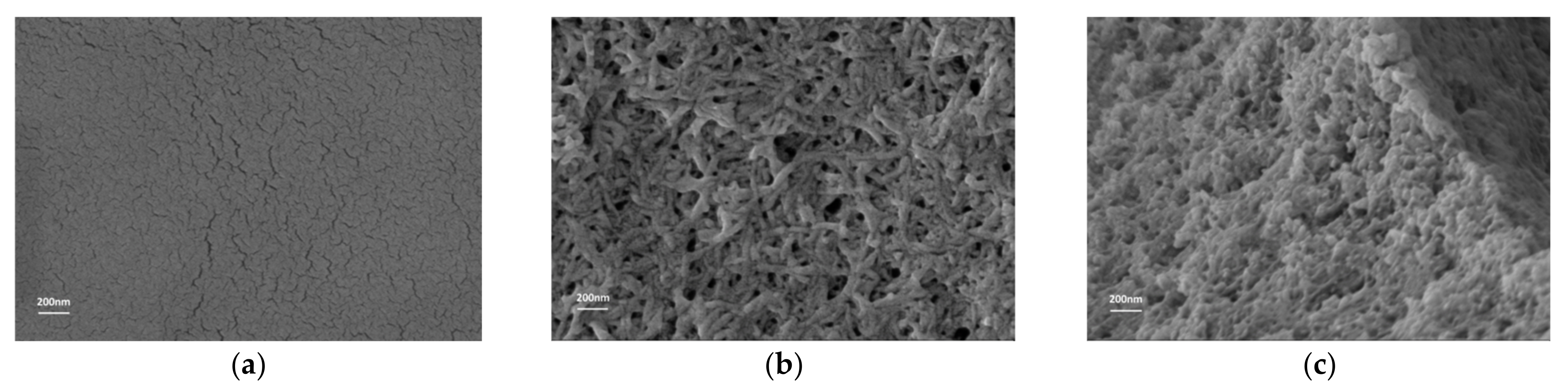 Applsci 11 12163 g003