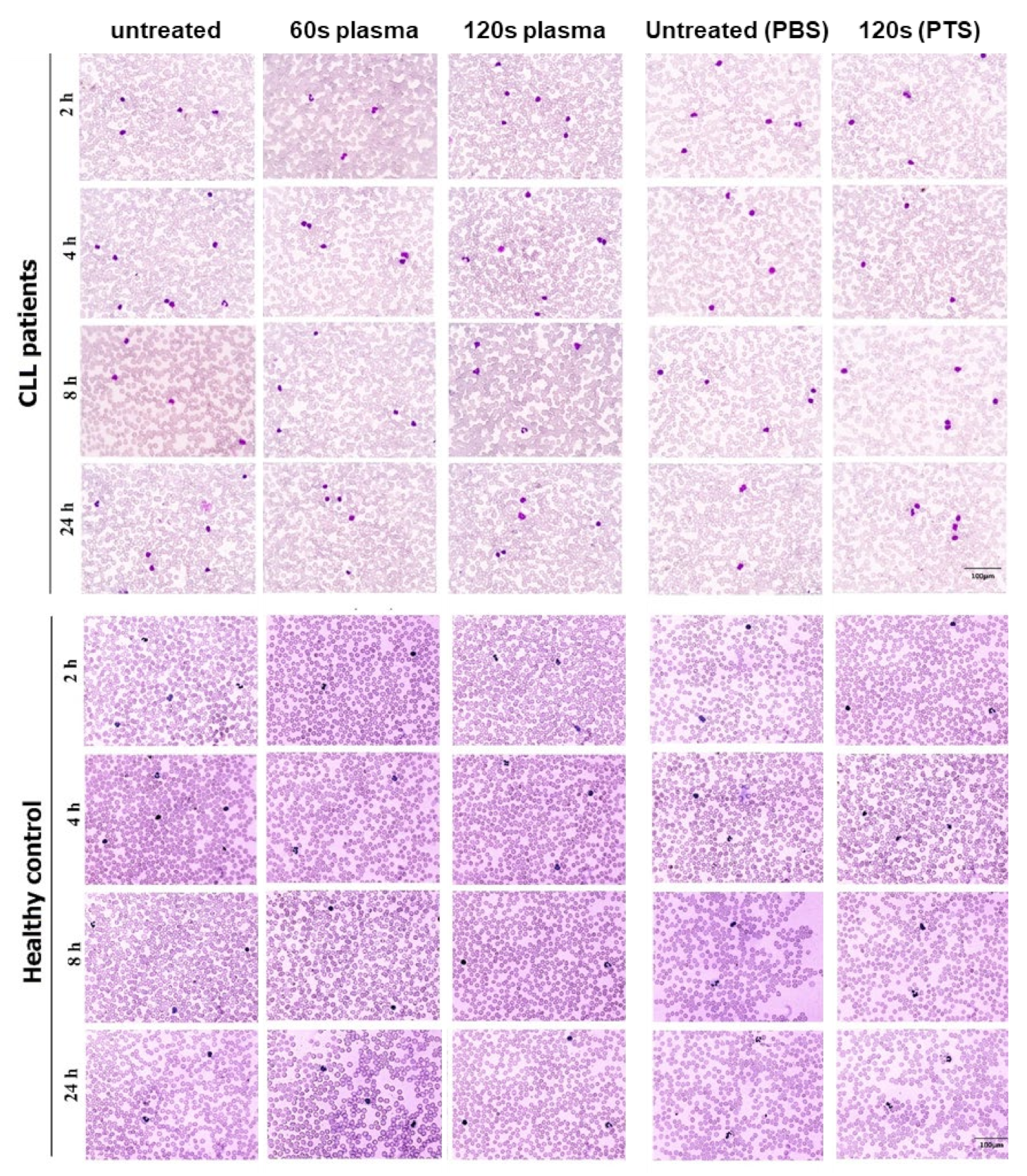 Applsci 12 00128 g002