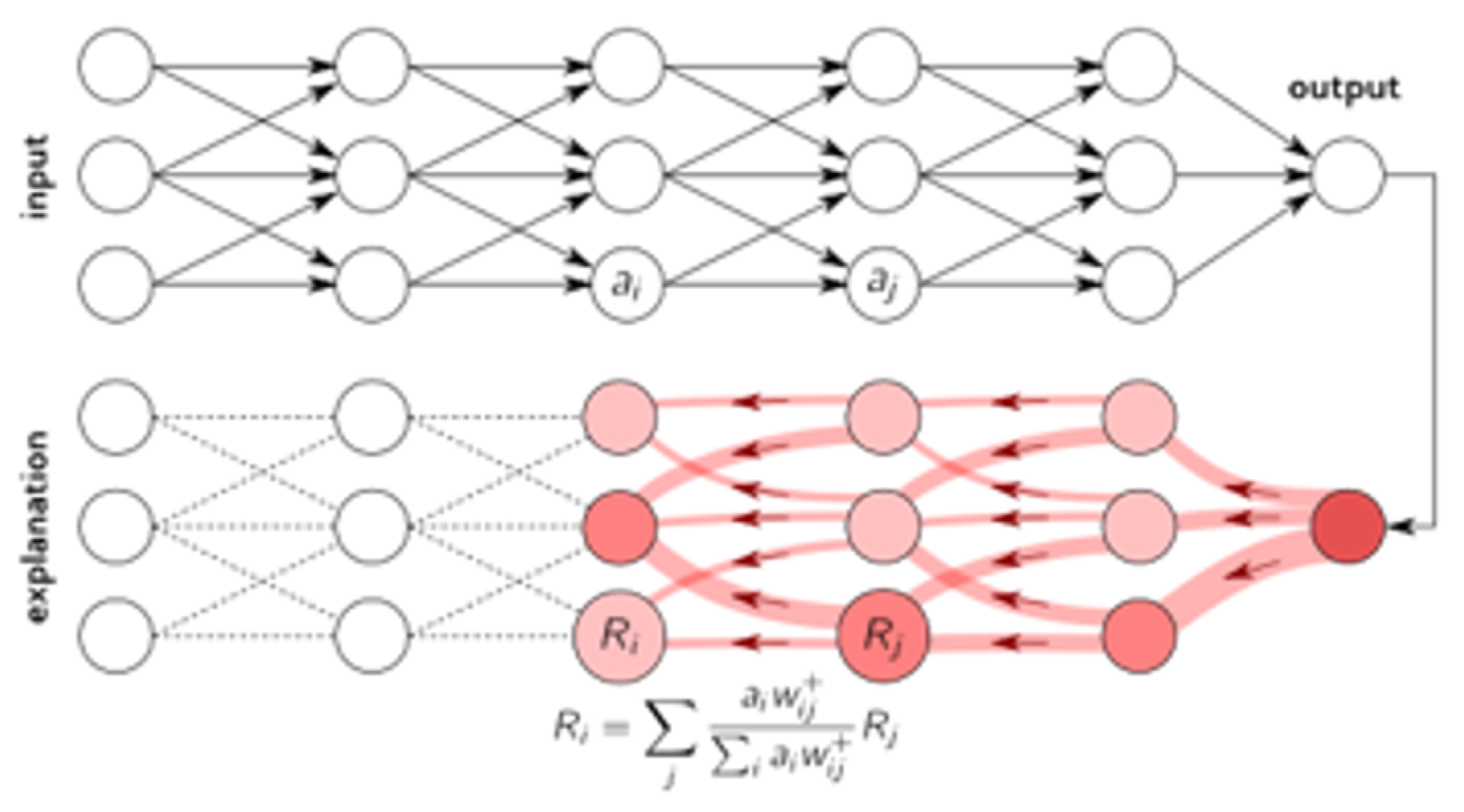 Output network. Нейронные сети Сбербанка. Нейронная сеть чат бот. Layer-Wise Relevance propagation for Neural Networks with local Renormalization. Layer Wise.