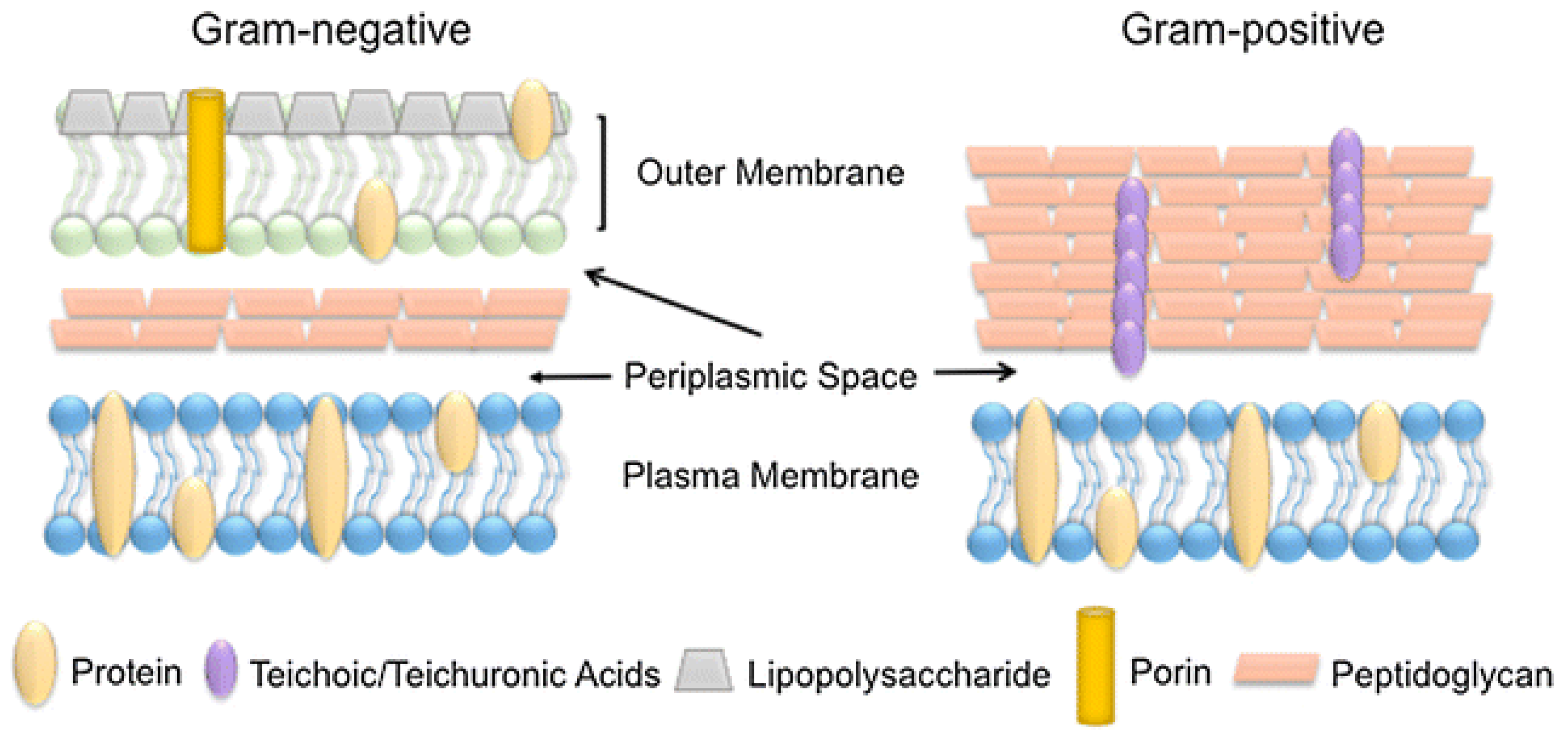Applsci 12 00141 g002