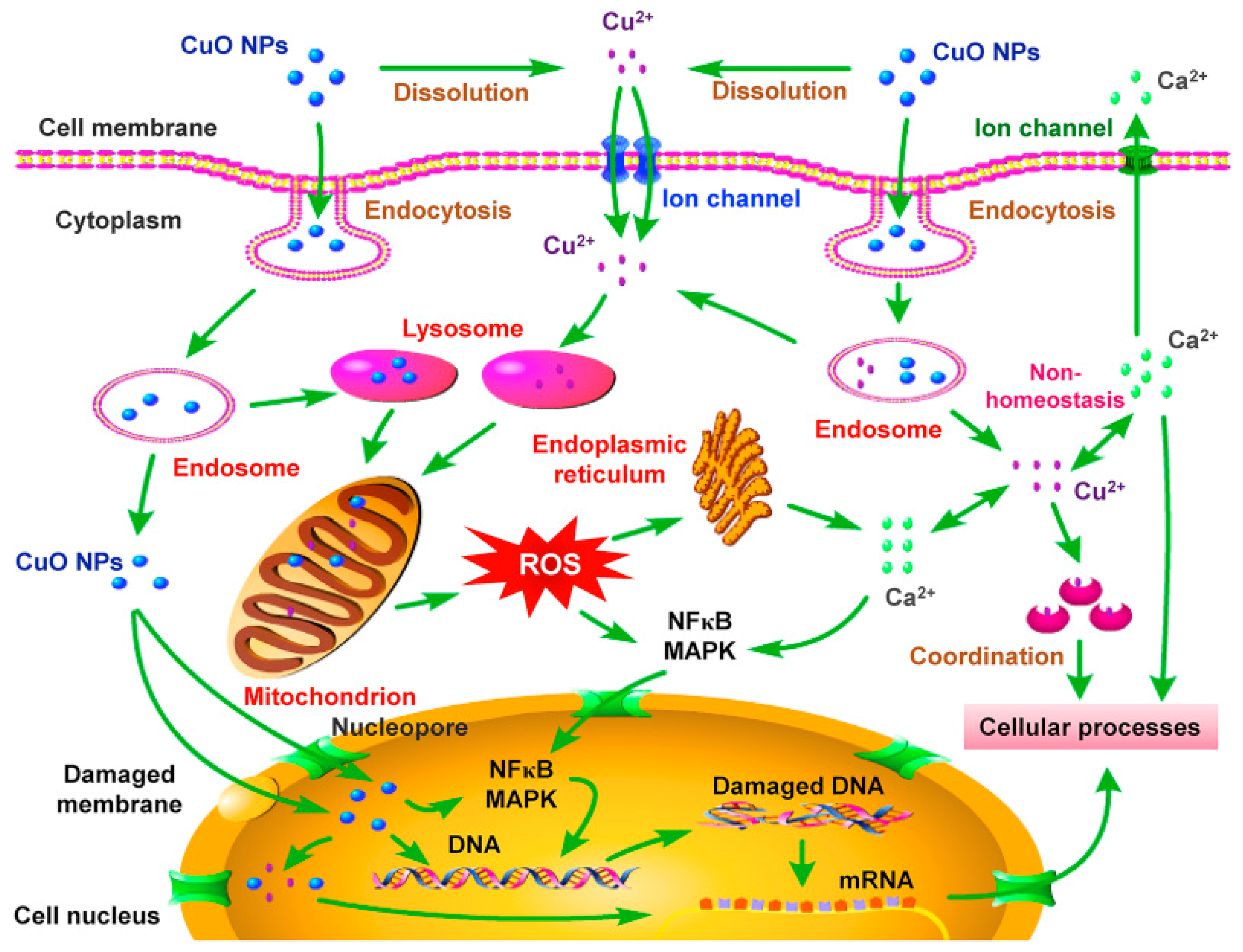 Applsci 12 00141 g003