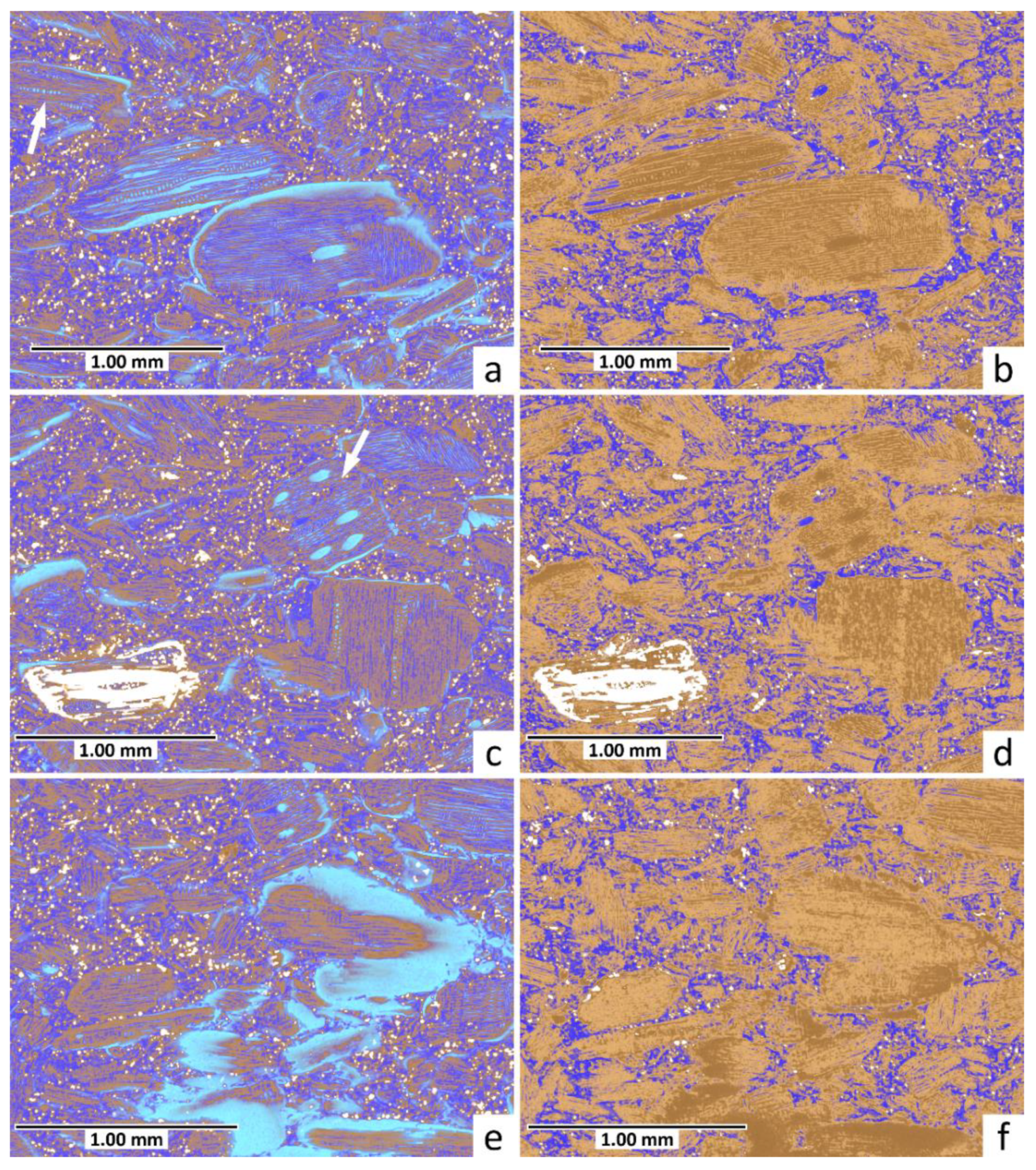 Applsci 12 00208 g002 Applsci 12 00208 g002
