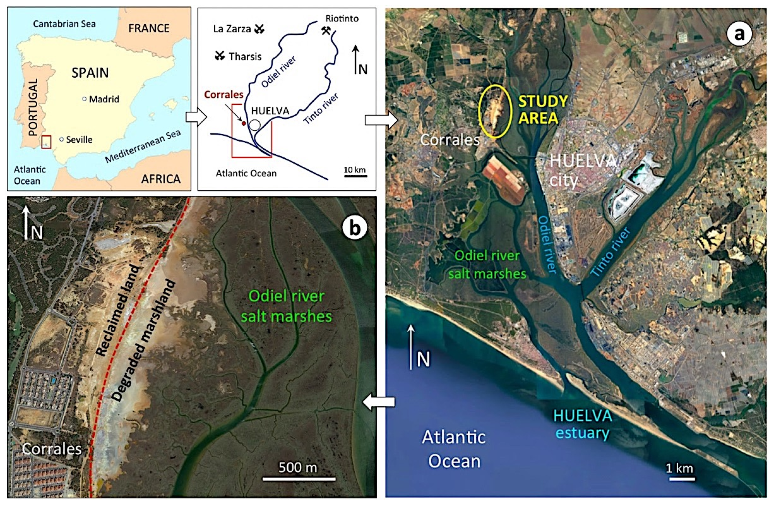 Applsci 12 00249 g002