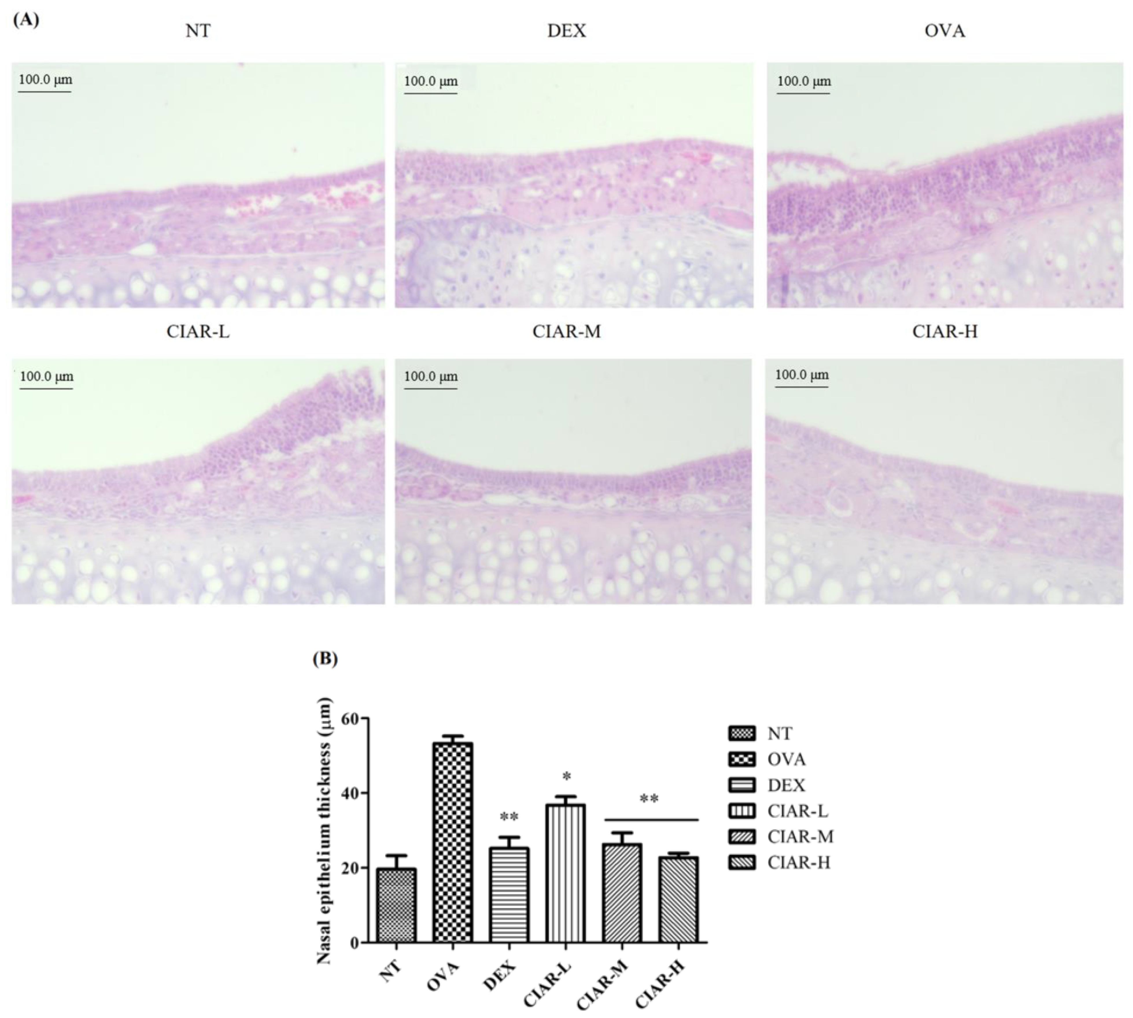 Applsci 12 00340 g004
