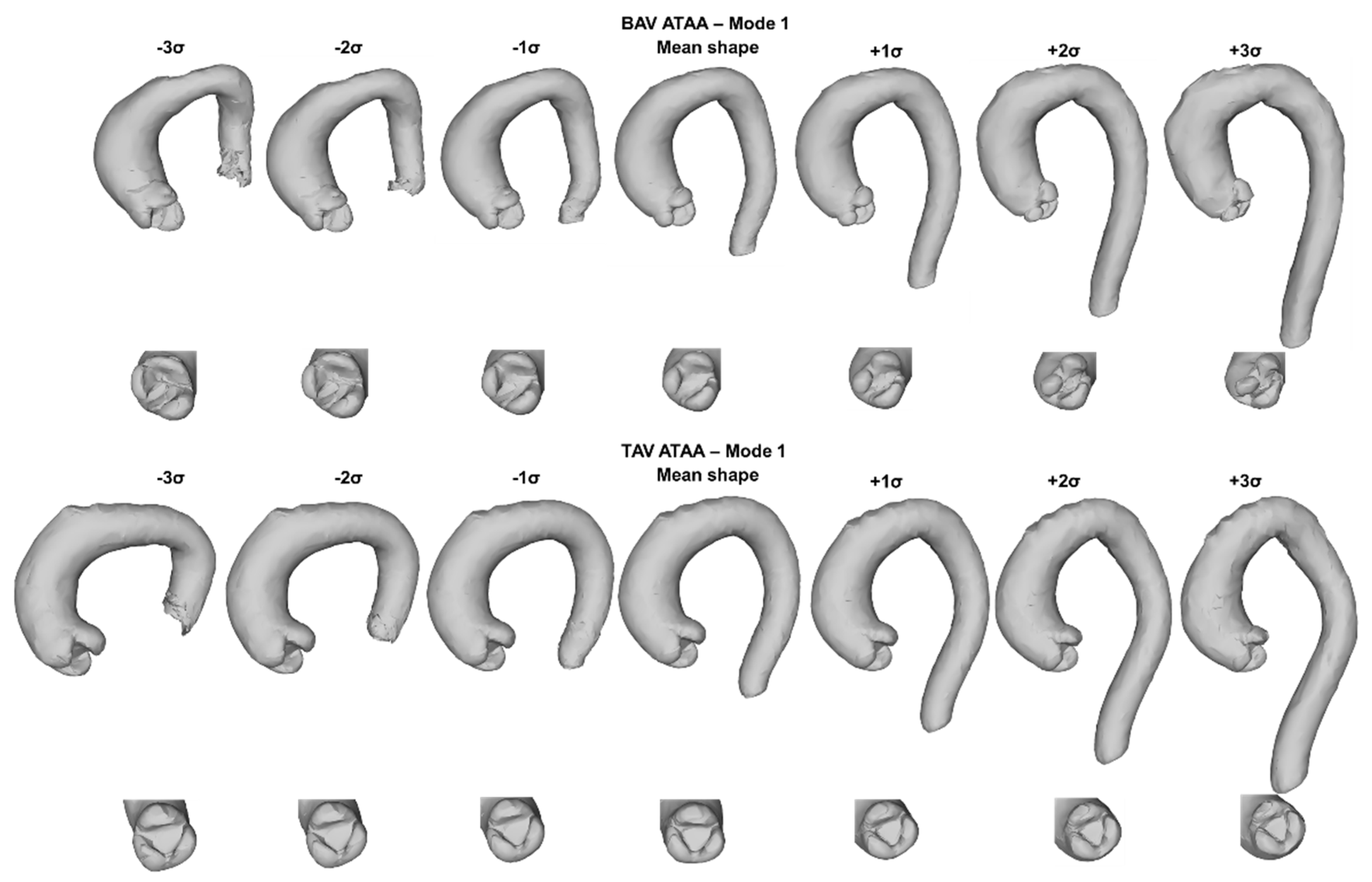 Applsci 12 00394 g002