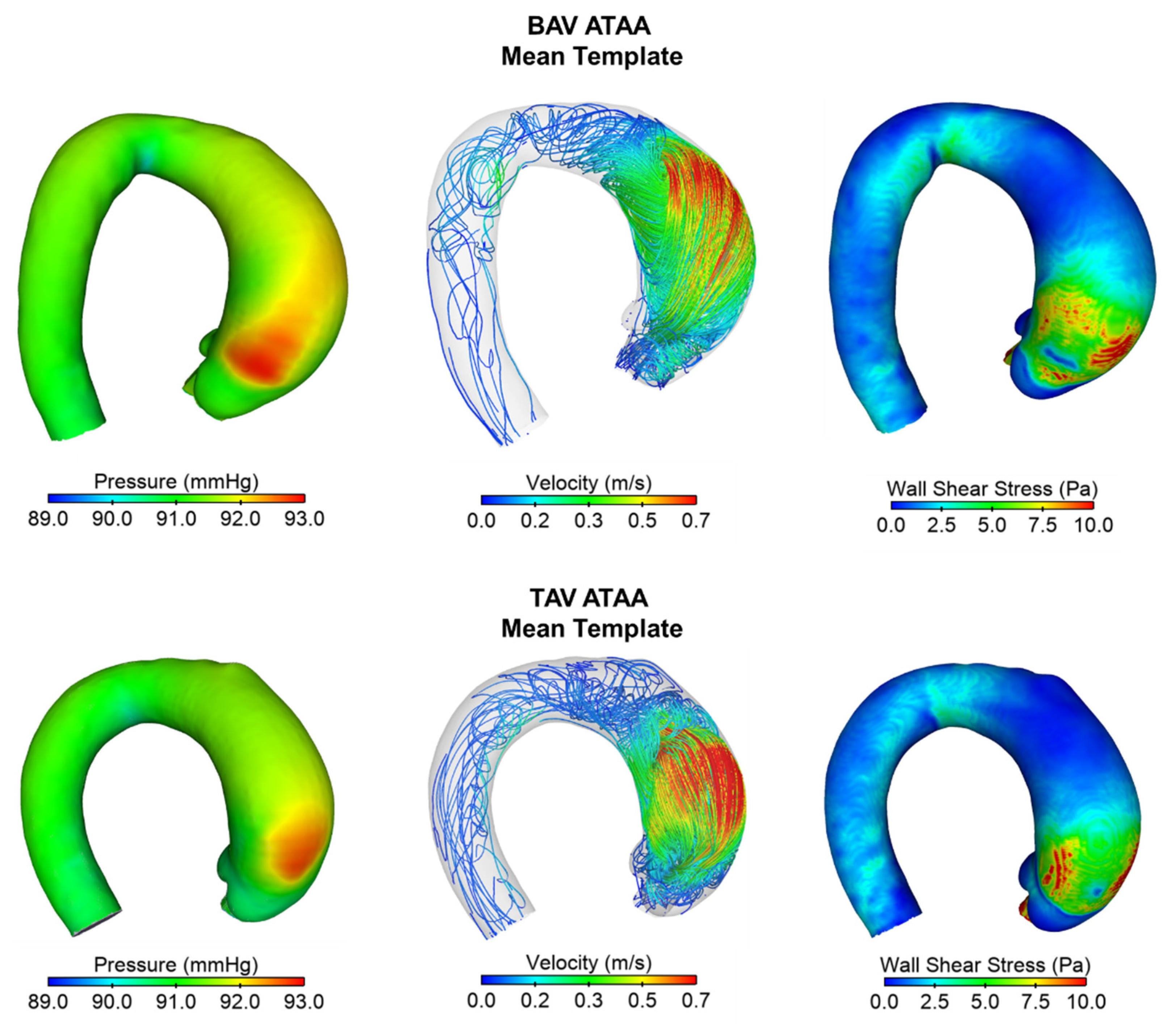 Applsci 12 00394 g005